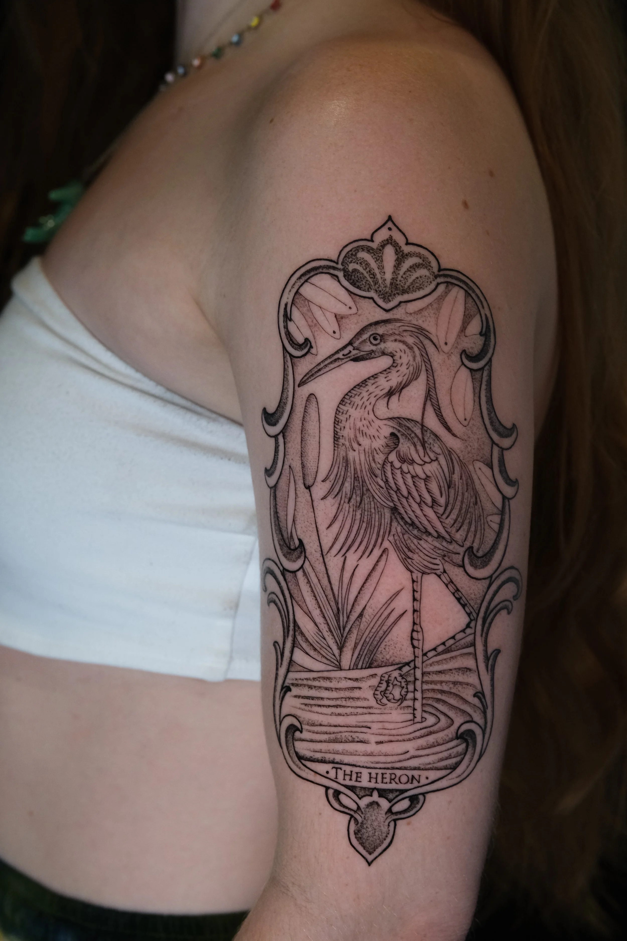LuisH_Heron_Etching.JPG