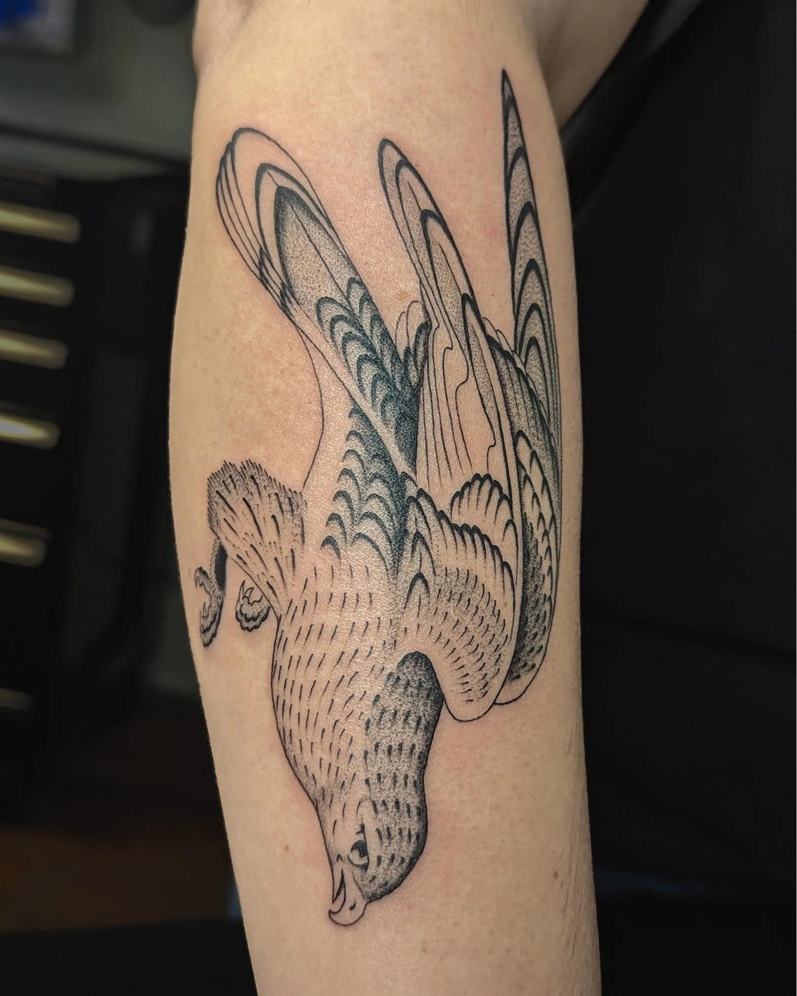Bird of Prey done by @kalinskiy_tattoo at Ink & Dagger🦅
To book Flash or Custom tattoos with Mark, tap the link in our bio to fill out a booking form or give us a call at 770-692-4245!
 #inkanddaggertattoo #roswell #roswelltattoo #roswelltatto
