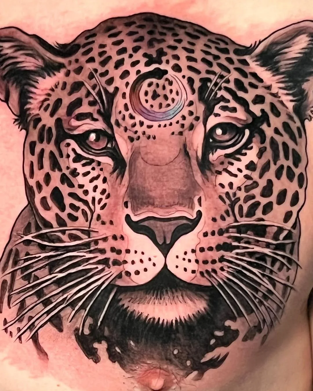 Izzy Irizarry - @izzytattoo1224 is tattooing at @inkanddaggertattoo give them a follow! - Jiu Jitsu Jaguar