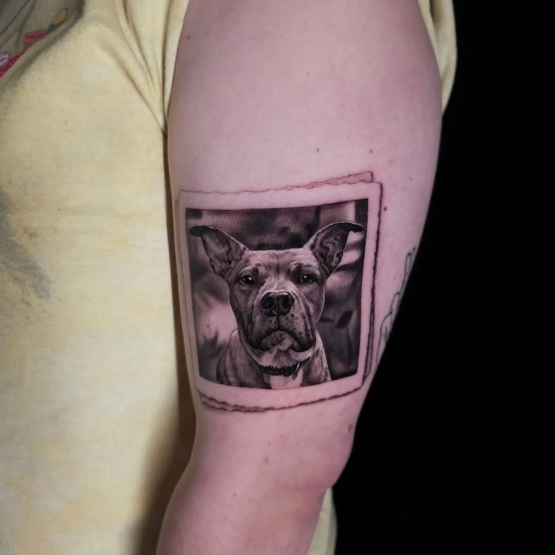 Robert Beeman - @robertbeemantattoos is tattooing at @inkanddaggertattoo give them a follow! - Here's a fresh dog portrait from last week! Done @inkanddaggertattoo with @bishoprotary @vulcanneedles and @thesolidink  #blackandgreyrealism #blackandgrey