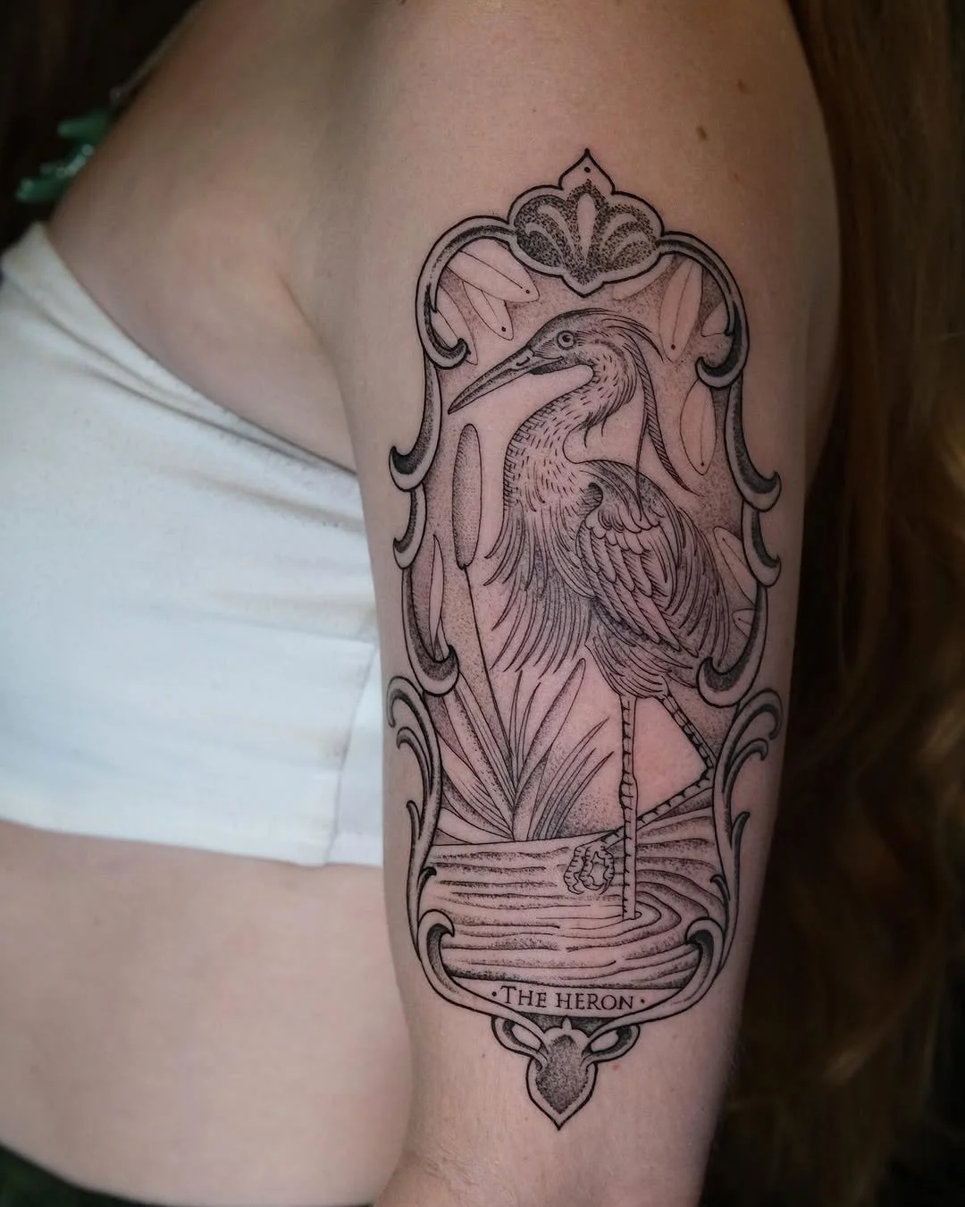 Luis Hinestroza - @luismiguel_ta2 is tattooing at @inkanddaggertattoo give them a follow! - The Heron! Based on tarot cards with the Clients idea, thanks again&hellip; . . . #tattoo #btattoing #blackworktattoo #illustrativetattoos