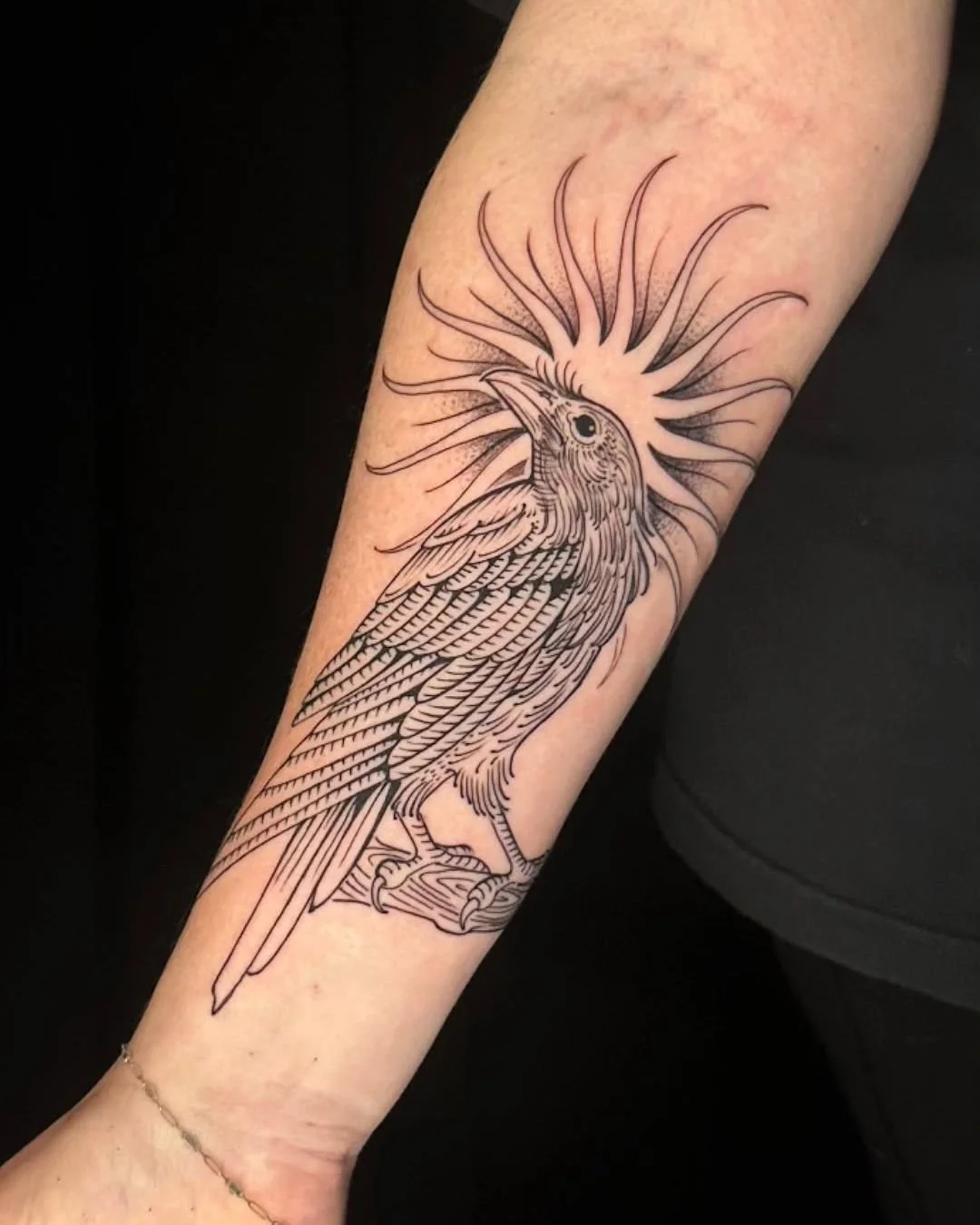 Luis Hinestroza - @luismiguel_ta2 is tattooing at @inkanddaggertattoo give them a follow! - Etching style crow on the forearm. Birds are always welcome, I love them in this style! . . . #etchingtattoo #engravingtattoo #crowtattoo #tarotcards #atltatt