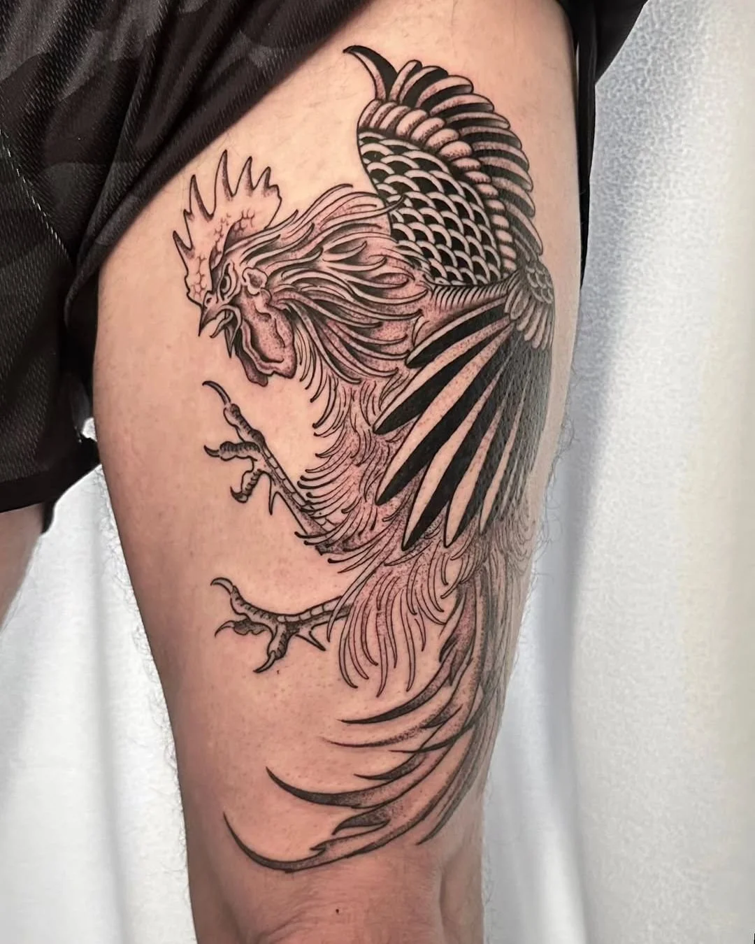 Luis Hinestroza - @luismiguel_ta2 is tattooing at @inkanddaggertattoo give them a follow! - Illustrative rooster on the thigh 🪶 birds of all kinds are a consistent favorite of mine, thank you for the trust! . . . #blackworkers #blackandgreytattooart