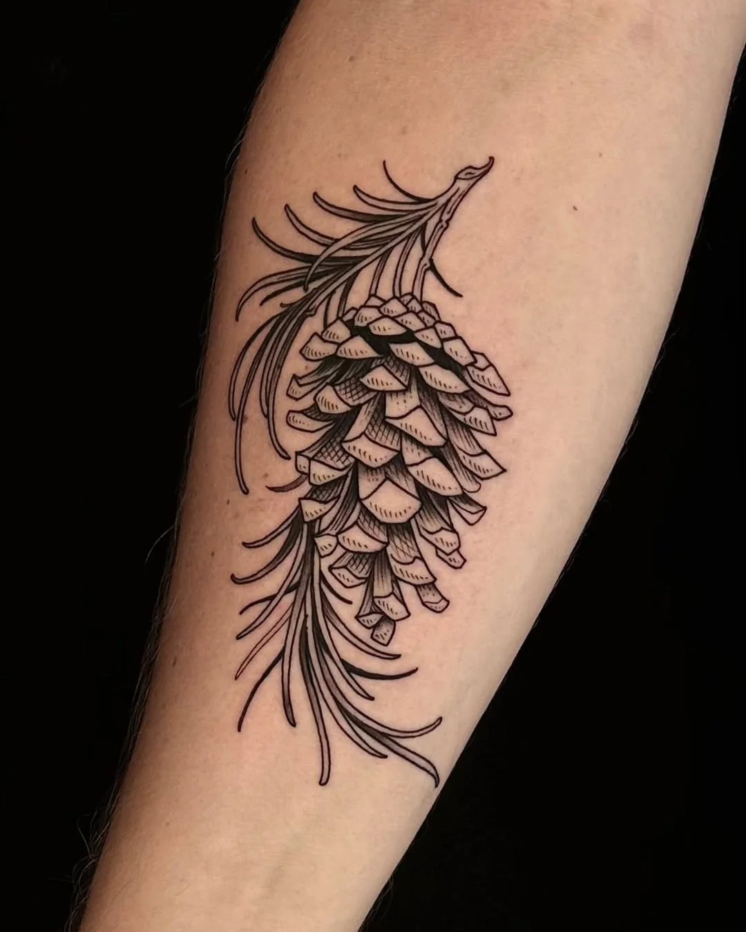 Luis Hinestroza - @luismiguel_ta2 is tattooing at @inkanddaggertattoo give them a follow! - Etching style pinecone on the forearm 🌲 nature tattoos are always welcome! . . . #etchingtattoo #etching #natureart #tattooworld #roswellga