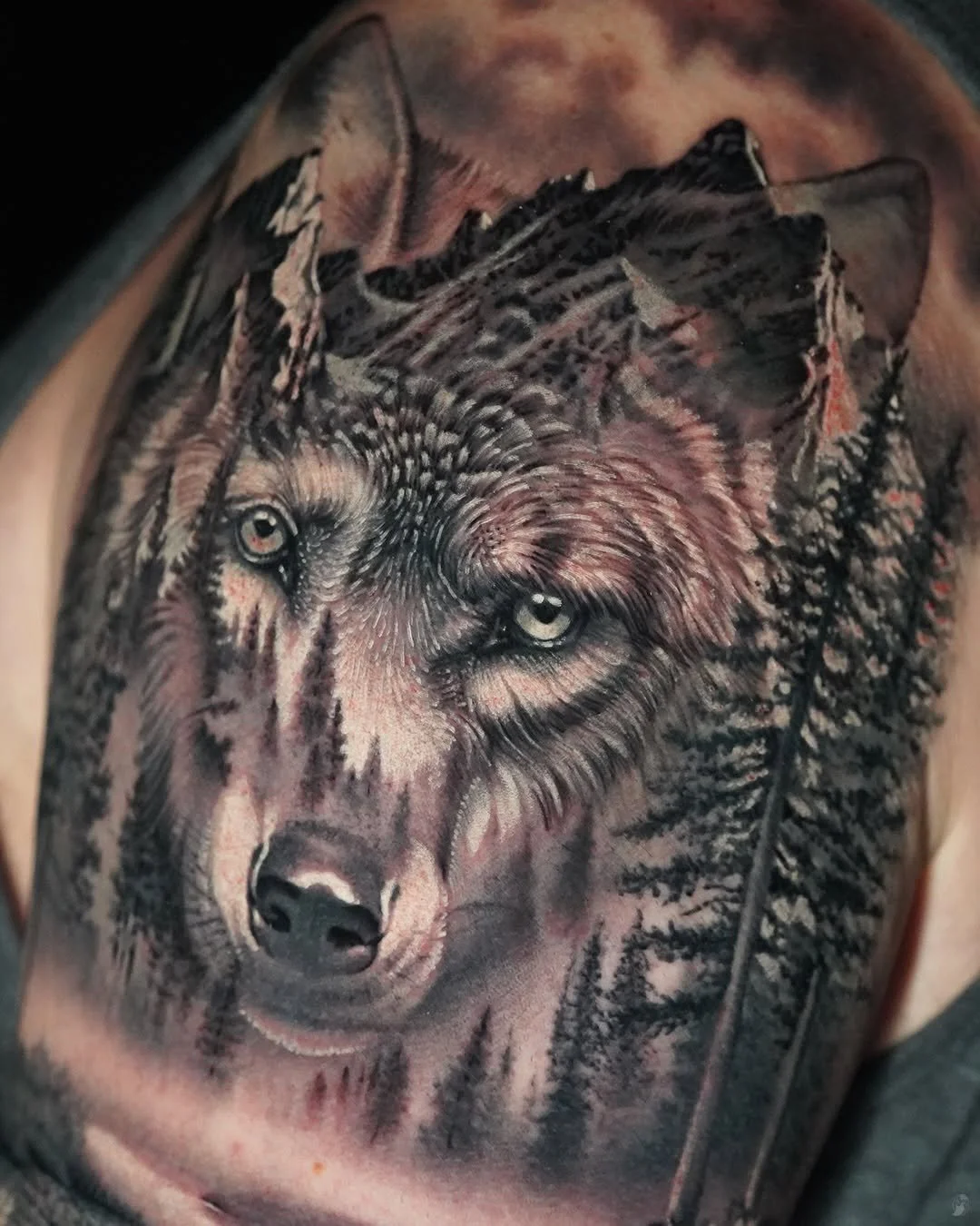 Stani - @mrgingerjaw is tattooing at @inkanddaggertattoo give them a follow! - Especially excited to see this once it&rsquo;s healed and settled; I had a blast. Thanks John! 💥 BOOKS OPEN💥 &bull; INQUIRIES please visit: www.booking.inkanddagger.com/