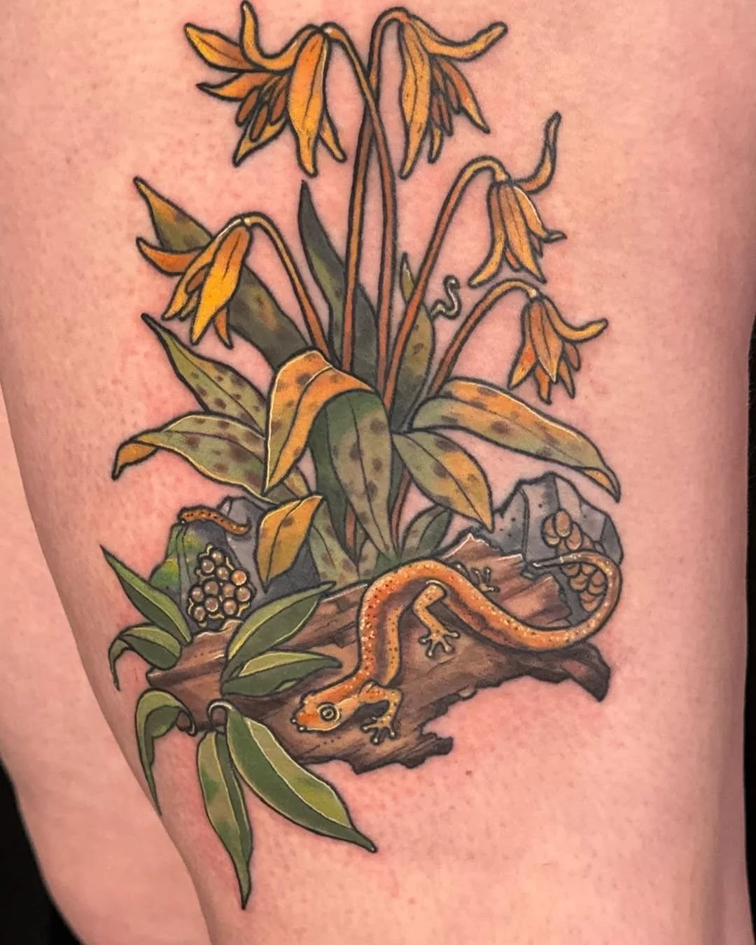 Mel Perlman - @mizmeltattoos is tattooing at @inkanddaggertattoo give them a follow! - So excited to share this mostly healed salamander life cycle tattoo with native flowers. I loved bringing this piece to life and seeing all the little details sett