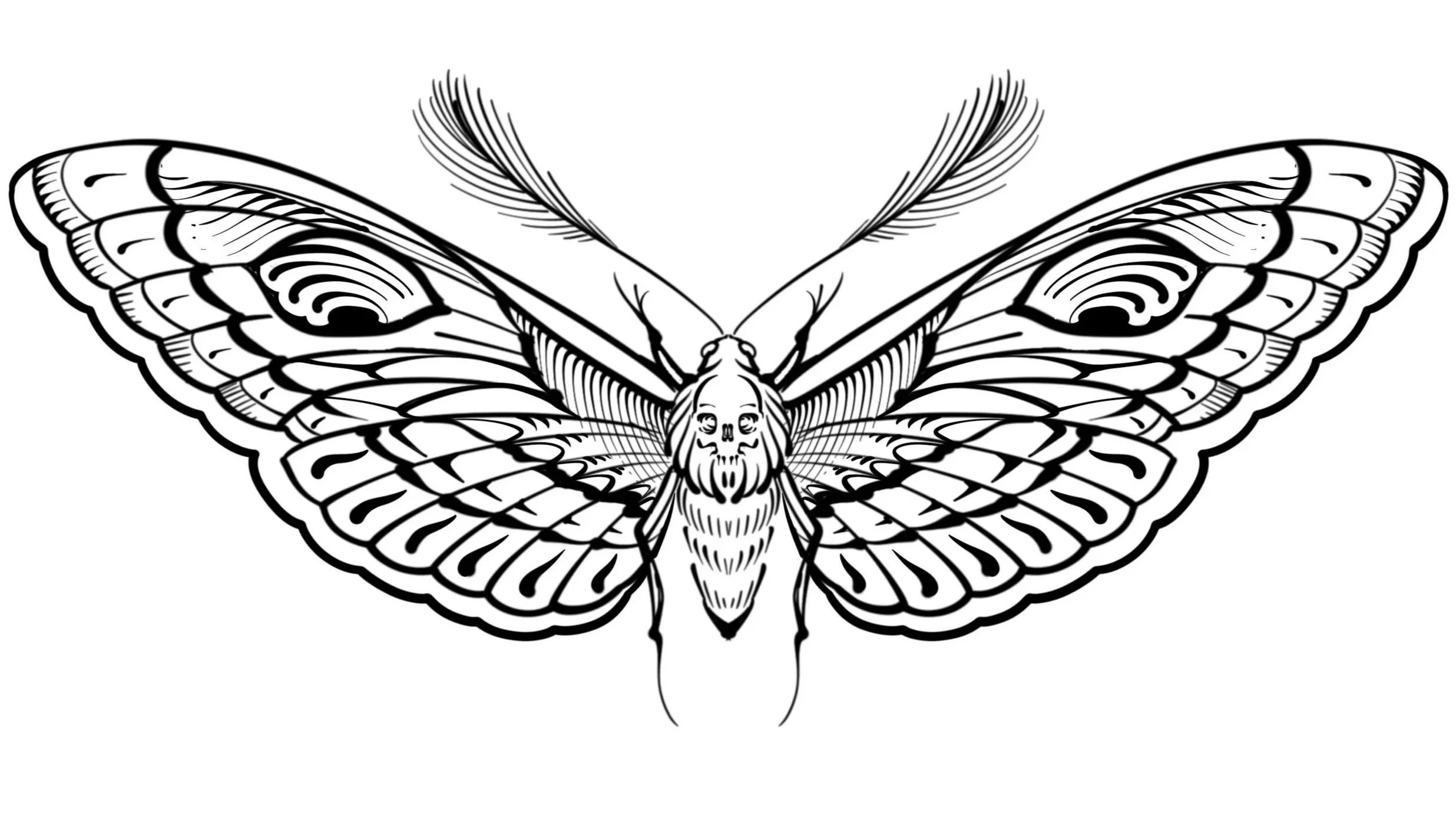 Luis Hinestroza - Smiling Moth - 8" - $500