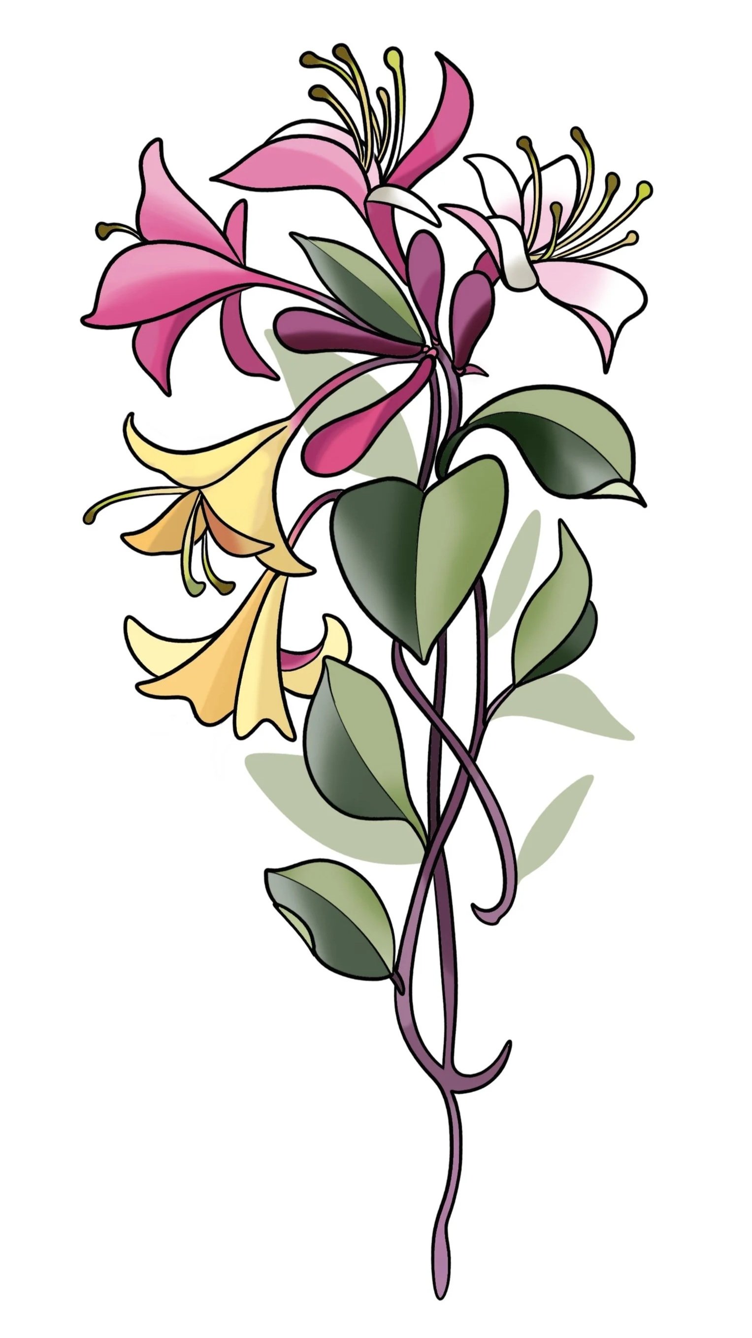 Mel Perlman - Honeysuckle - 6" - $600