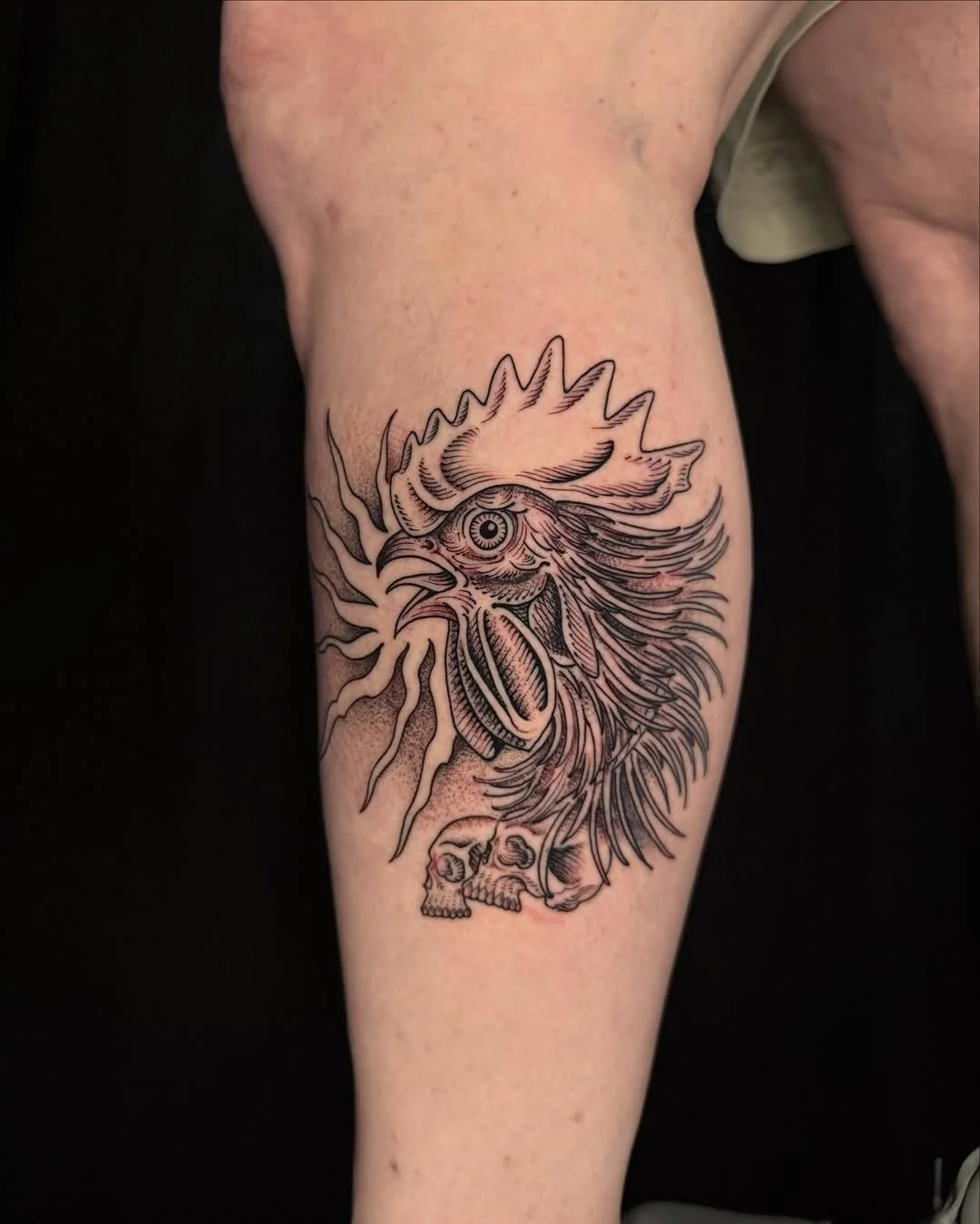 Luis Hinestroza - @luismiguel_ta2 is tattooing at @inkanddaggertattoo give them a follow! - One of my One shot wall designs from 24&rsquo;, had a blast doing this rooster in flames for mi client🐓 #tatoo #ink #blackinktattoos #ink #engravingtattoos e