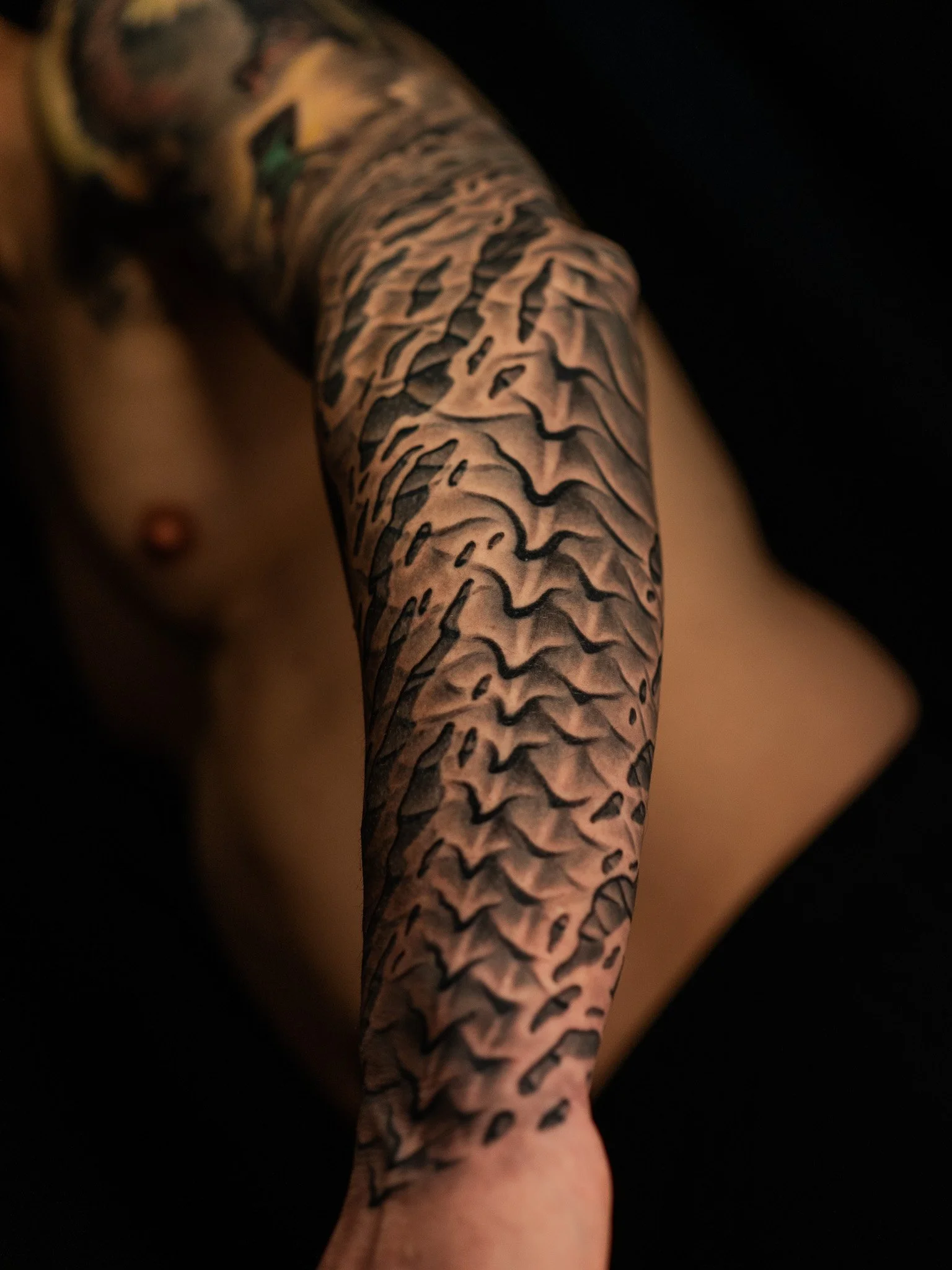 Dragon_Sleeve=2.jpg