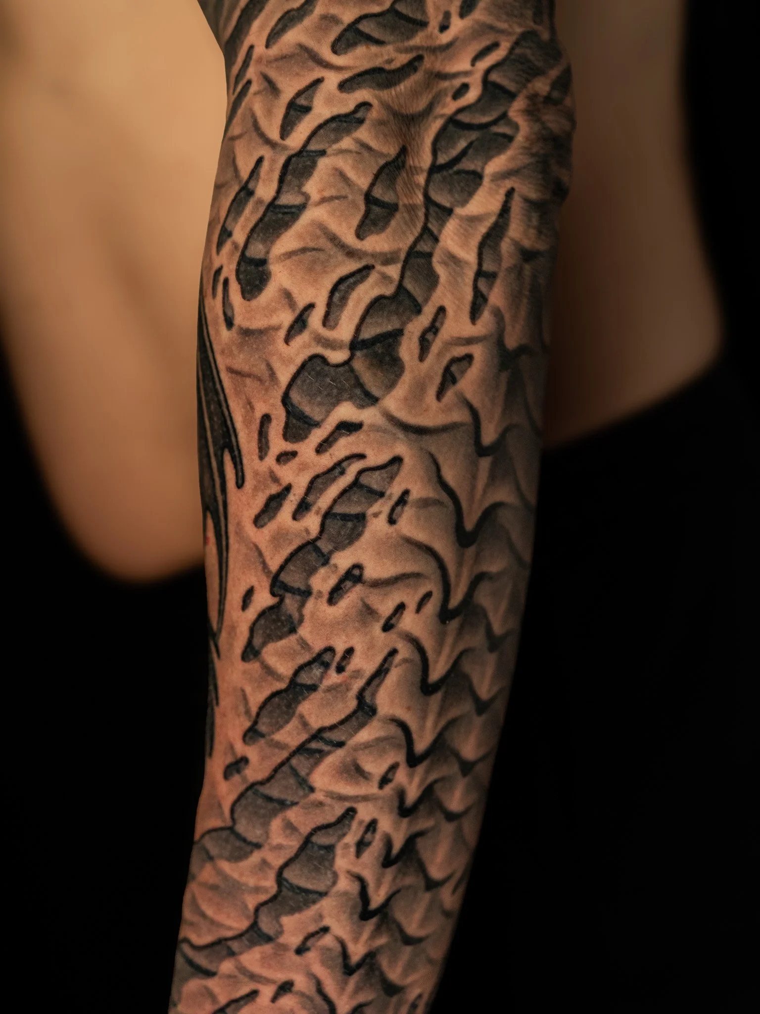 Dragon_Sleeve=7.jpg