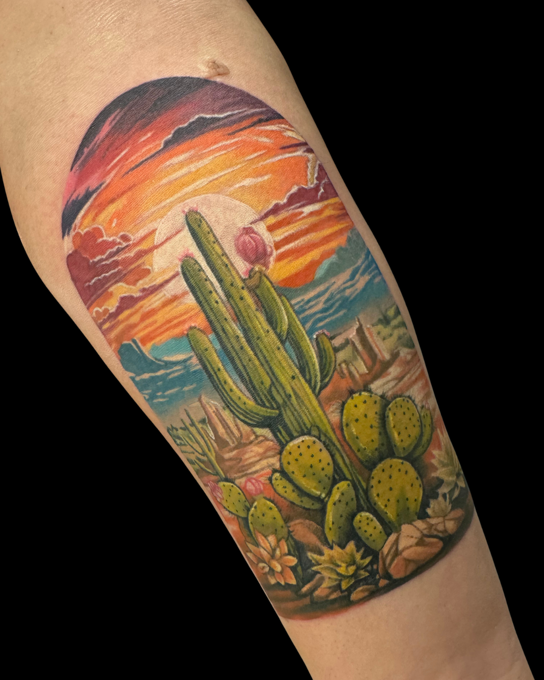 brian french cactus.png