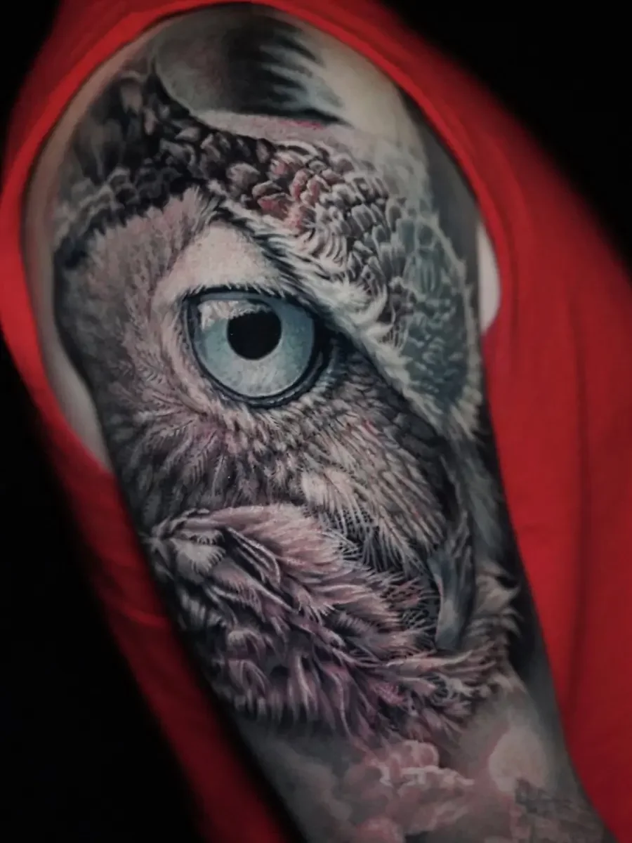 owl_sleeve.webp