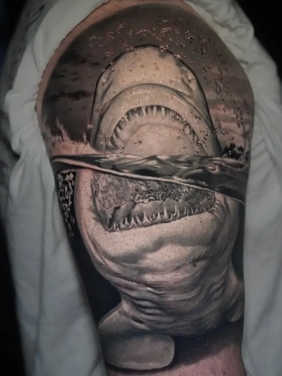 shark_sleeve_01.webp
