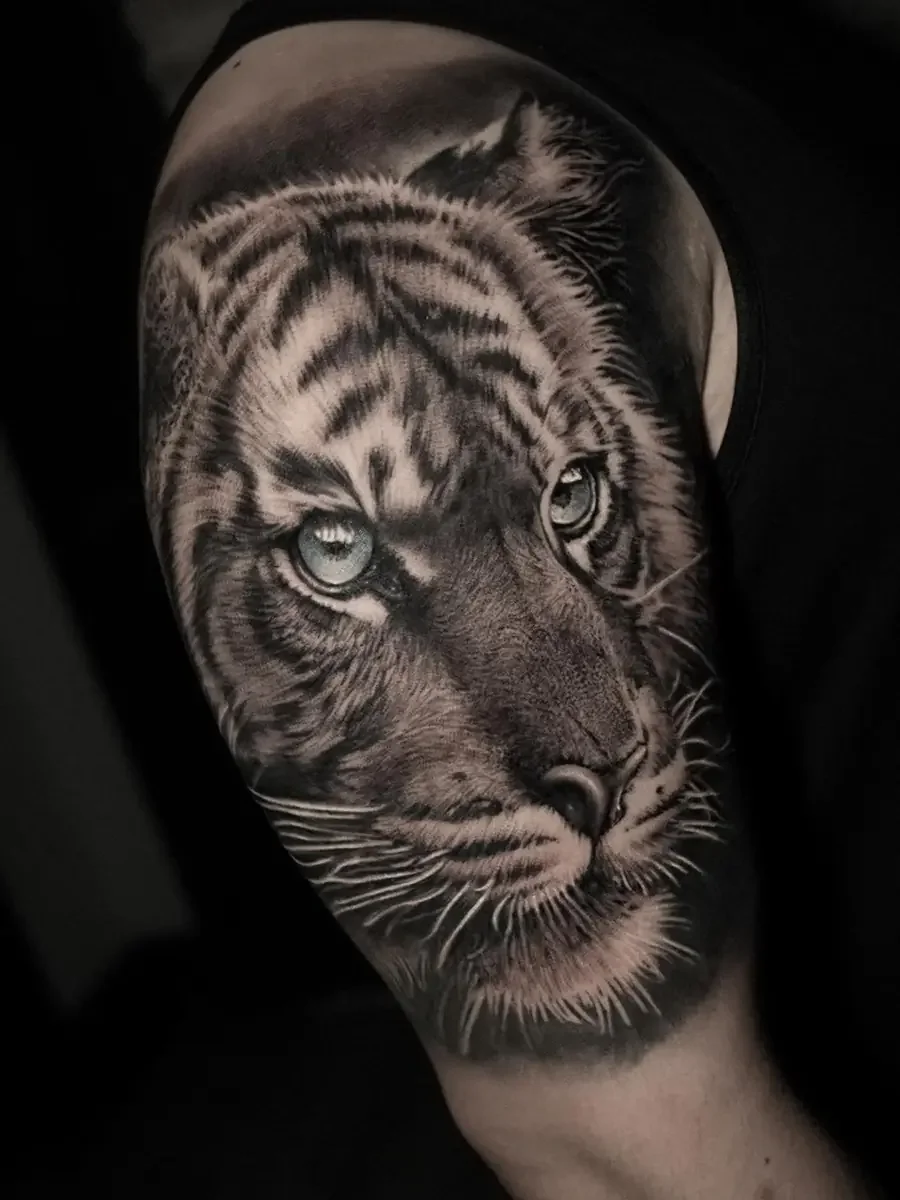 tiger_sleeve.webp