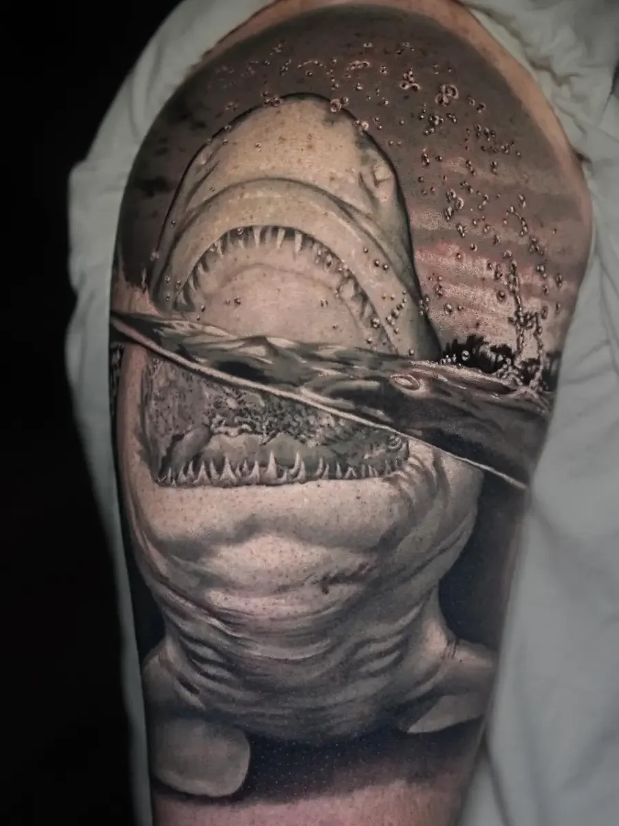 shark_sleeve_02.webp