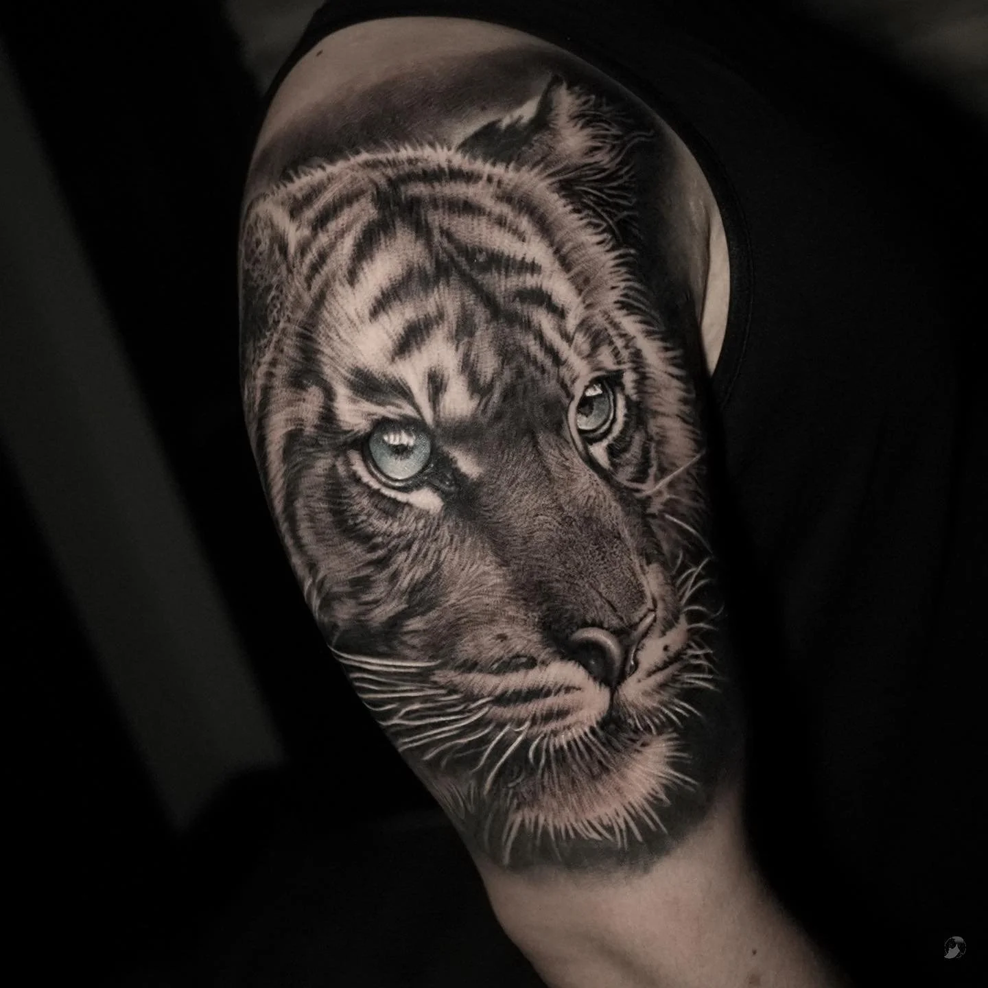 tiger_black_and_gray_stani_ink&dagger_atlanta.jpg