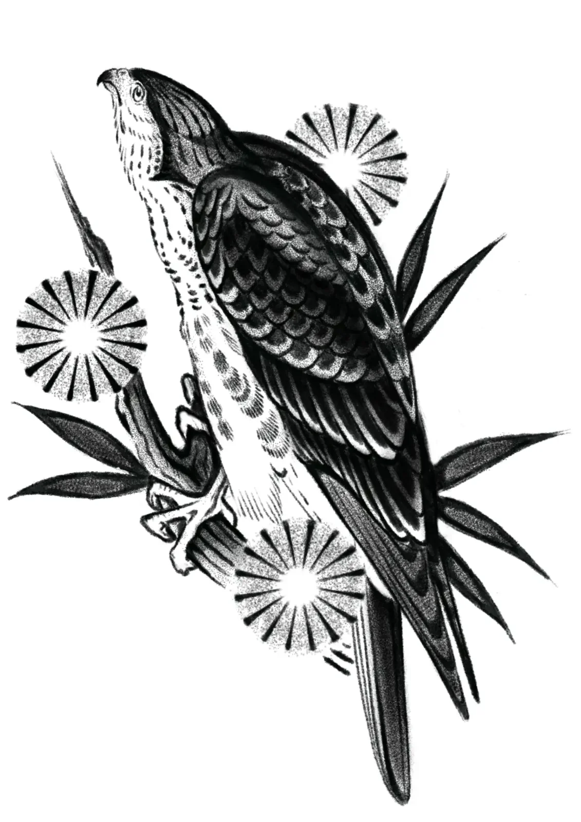 Mark Kalinskiy - Hawk - 7" - $650