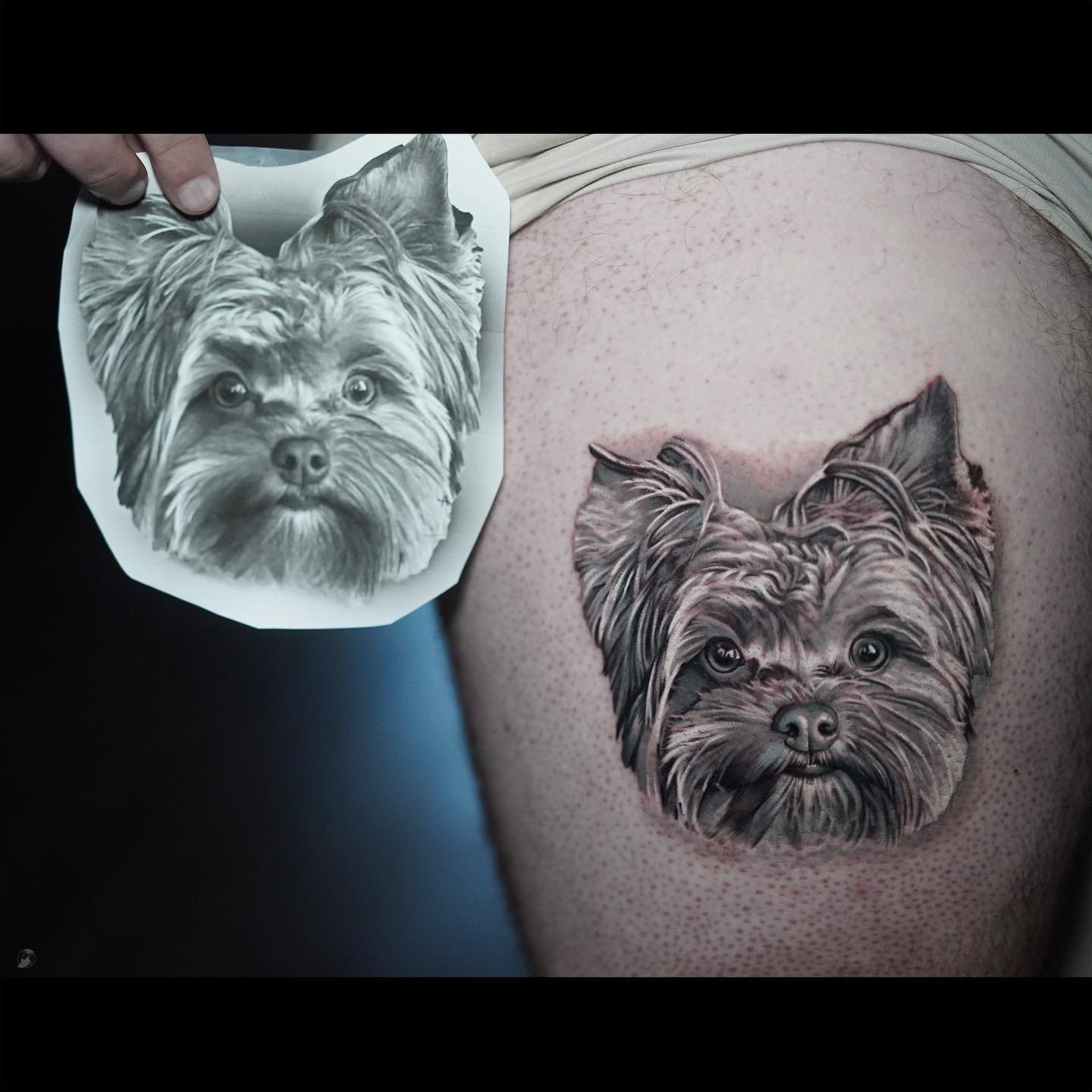 dog_portrait_black_and_gray_stani_ink&dagger_atlanta00002.jpg