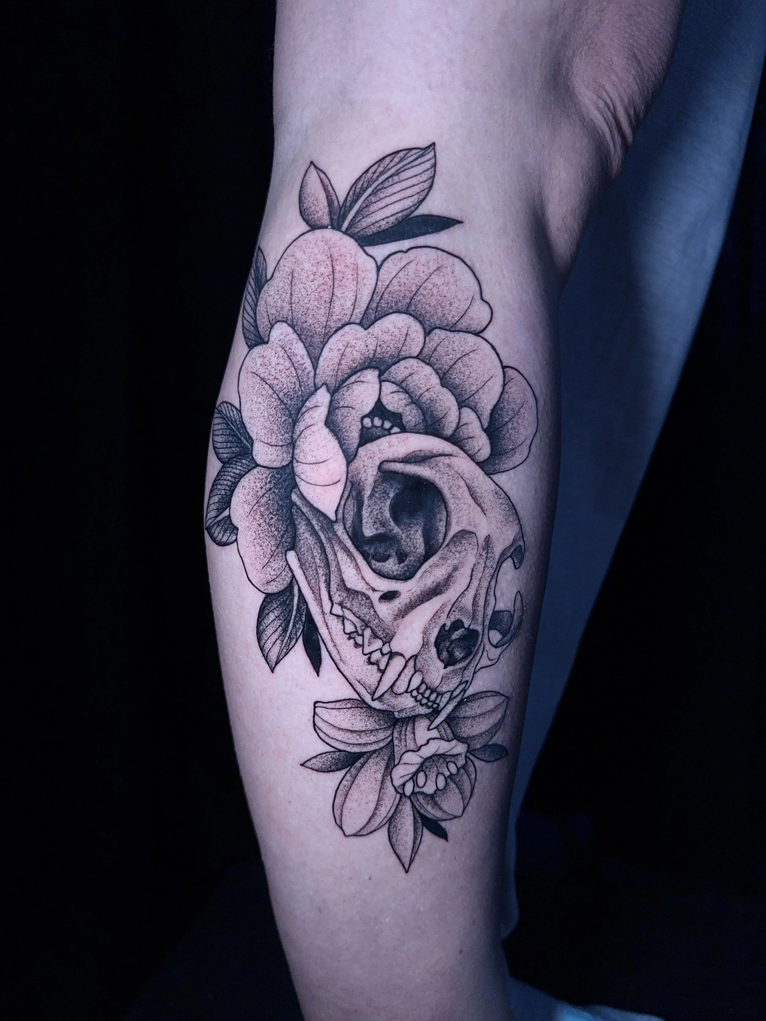 cat_skull_lily_floral_blackwork_amber_grey_i&d.jpg
