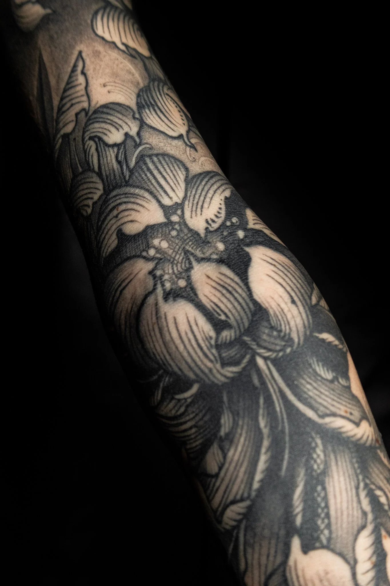 chrysanthemum_sleeve_luis_hinestroza_ink_and_dagger_roswell_ga-08.jpg