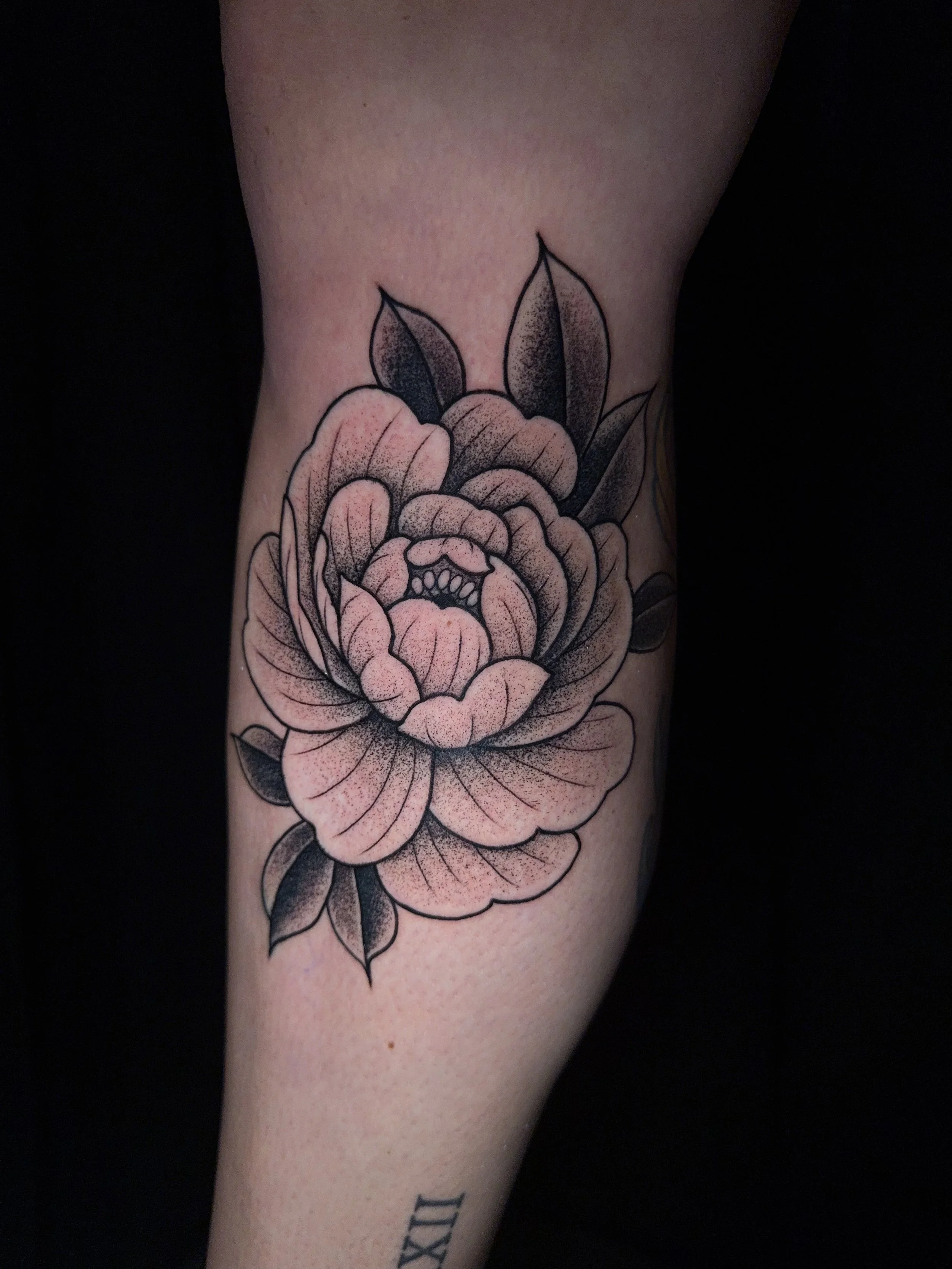 peony_floral_amber_grey_i&d.jpg