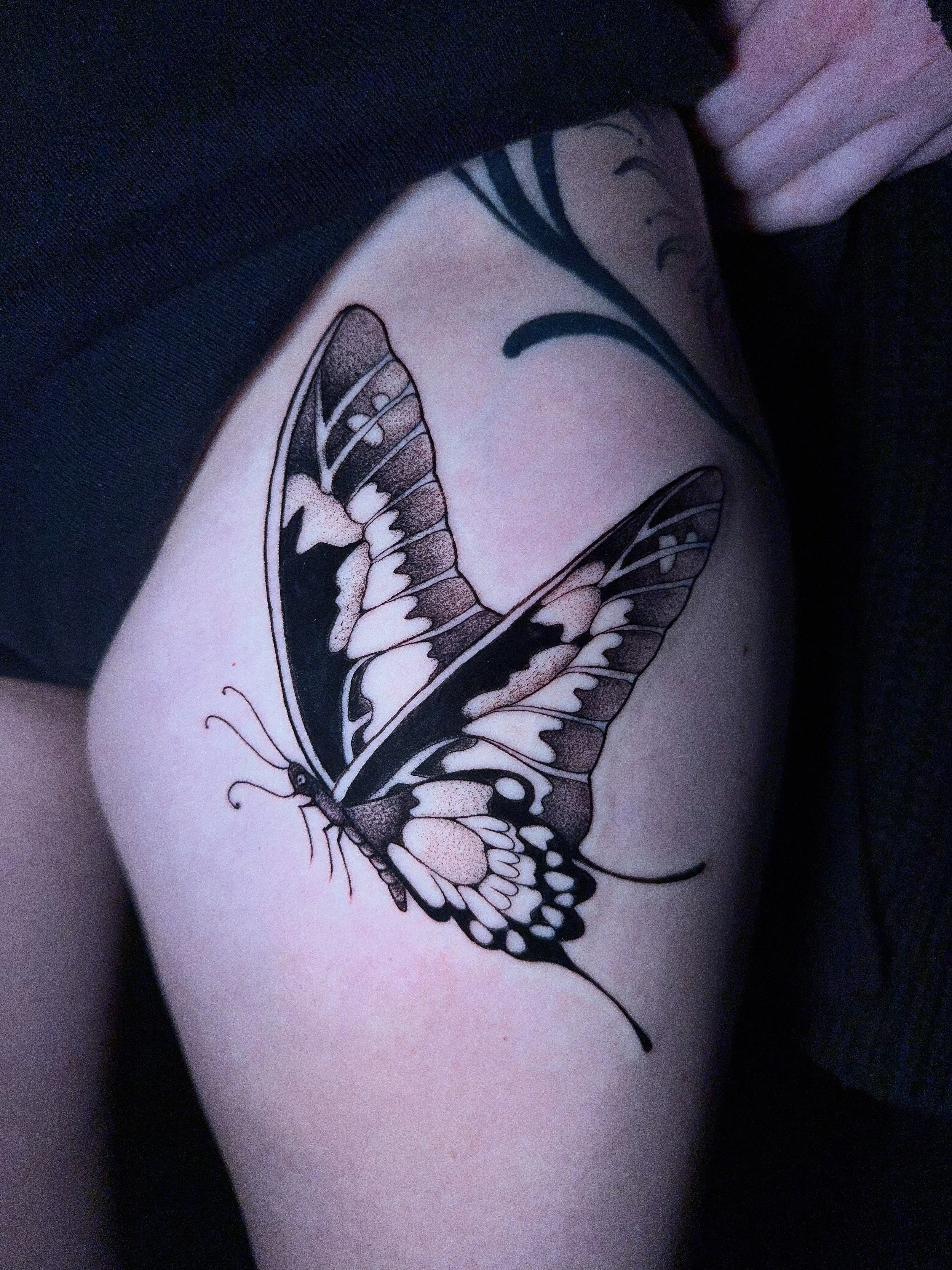 paired_butterfly_dark_thigh_blackwork_amber_grey_i&d.jpg