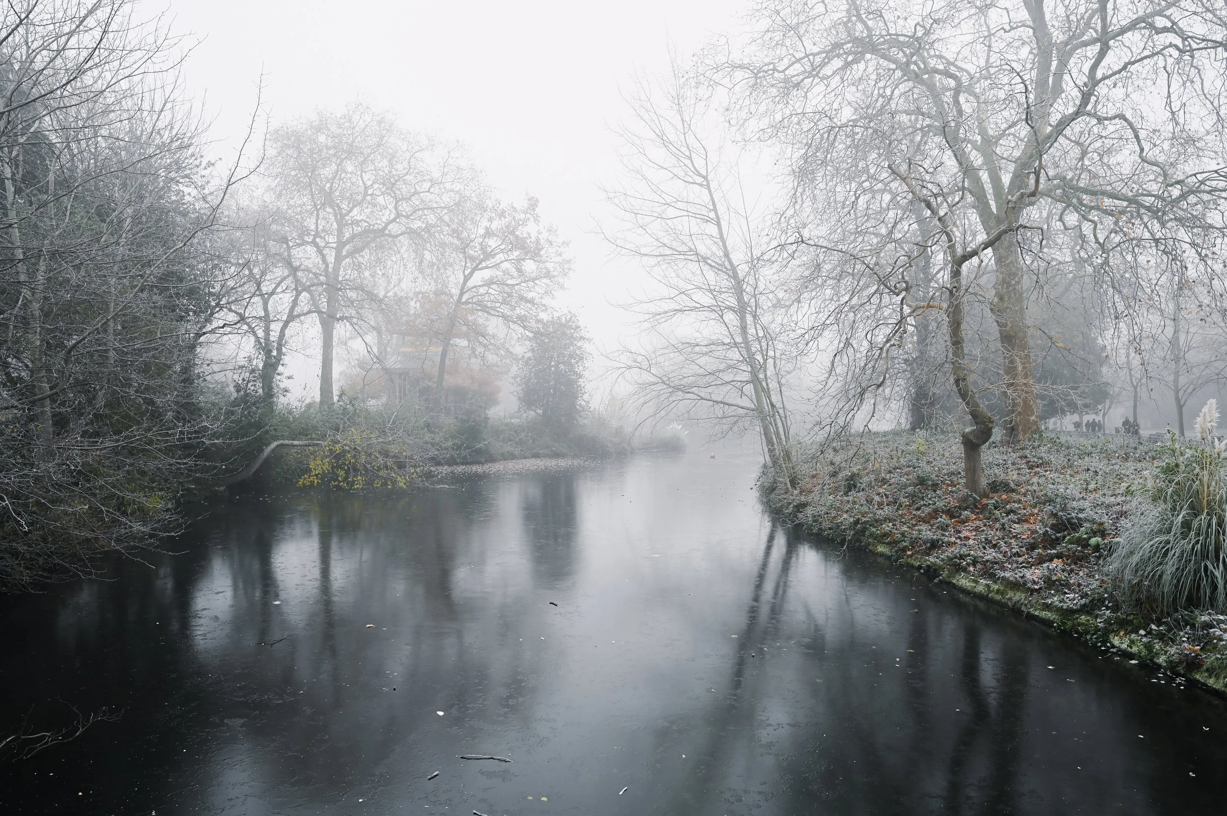 DSC_9015.jpeg