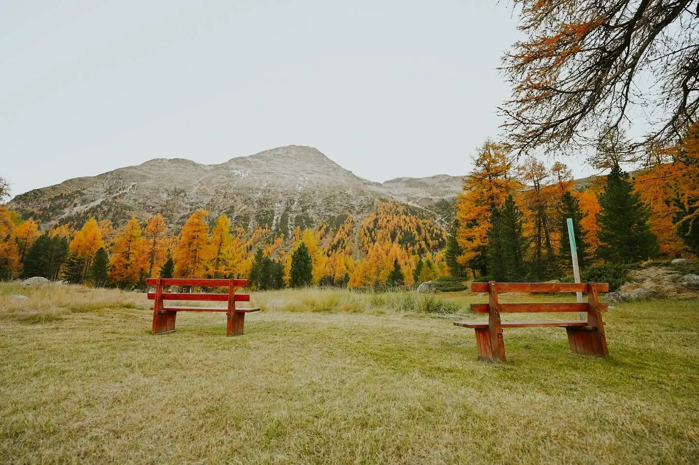 Orange Hues- The month of October is usually filled with tints of orange hues and arrays of yellow. Nature feels like a mood board on its own. When the larches turn golden for that short window, they shine through under the autumn sun or present itse