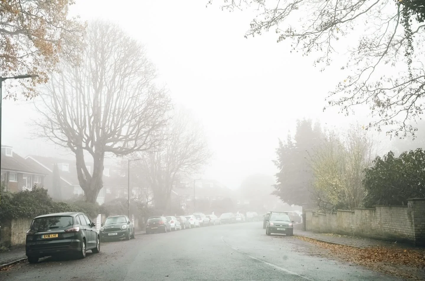Winter&rsquo;s Edge - The view that reminds one that winter has officially arrived. The last fallen leaf from the branch and the fog that builds up towards the later mornings, creating this haze that reminds one of a Narnia scene. Some said it&rsquo;