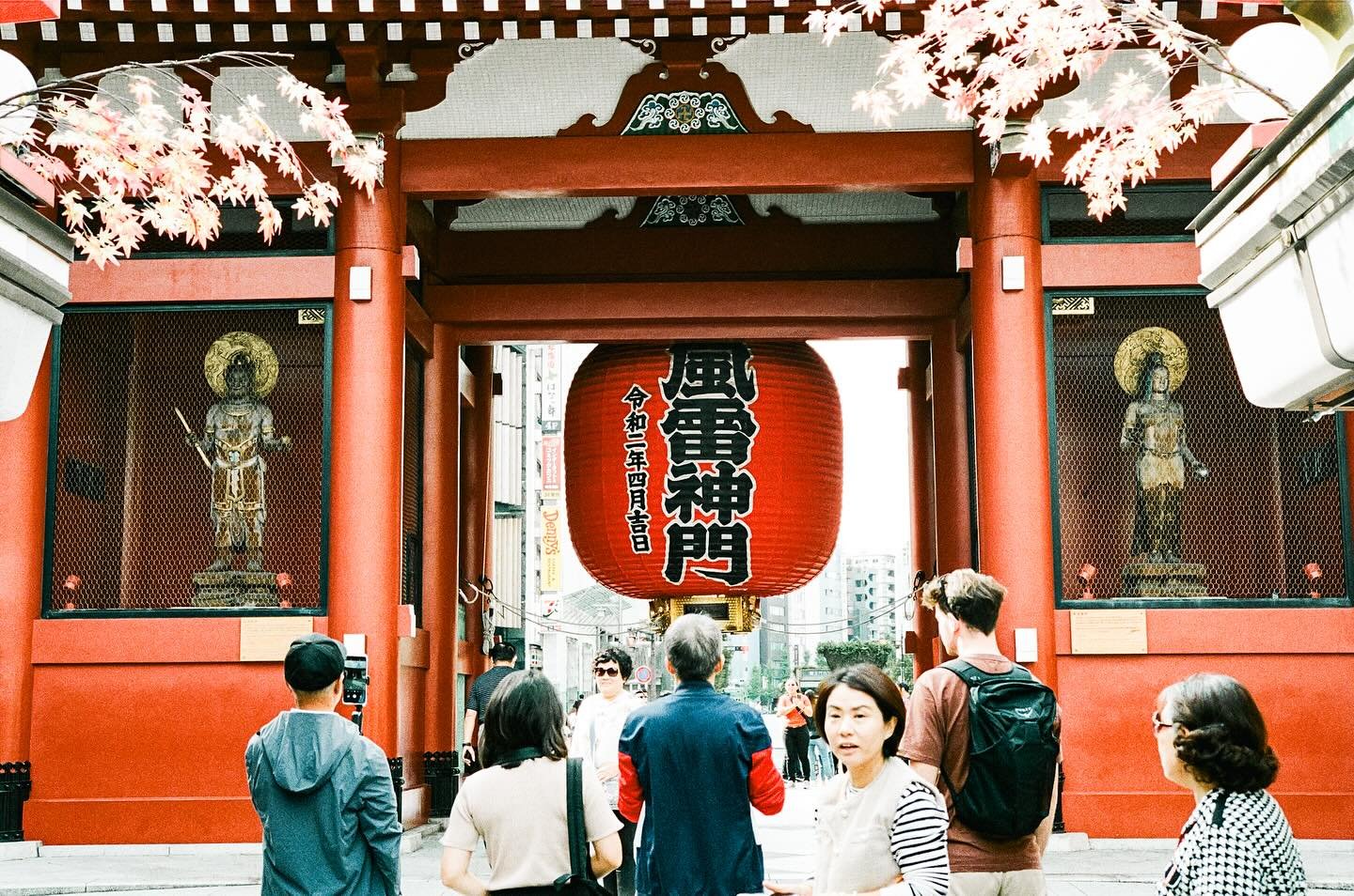 Delayed Autumn- Holding onto the last bits of Autumn before pne gets into full swing holiday Christmas mood . The Momiji 🍁 season in Japan ignites a mellow atmosphere , igniting some last autumn inspiration and relieving one last moment before it sl