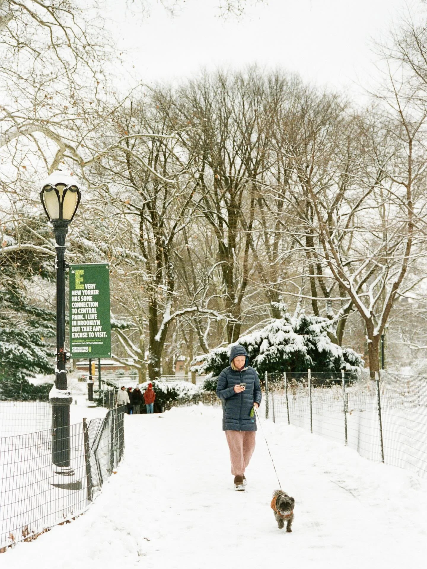 Filming White Winter- There is a first to everything and that includes capturing moments under extreme weathers. Navigating streets during winter snow storm has been an interesting experience , let alone navigating the settings under the snow storm a