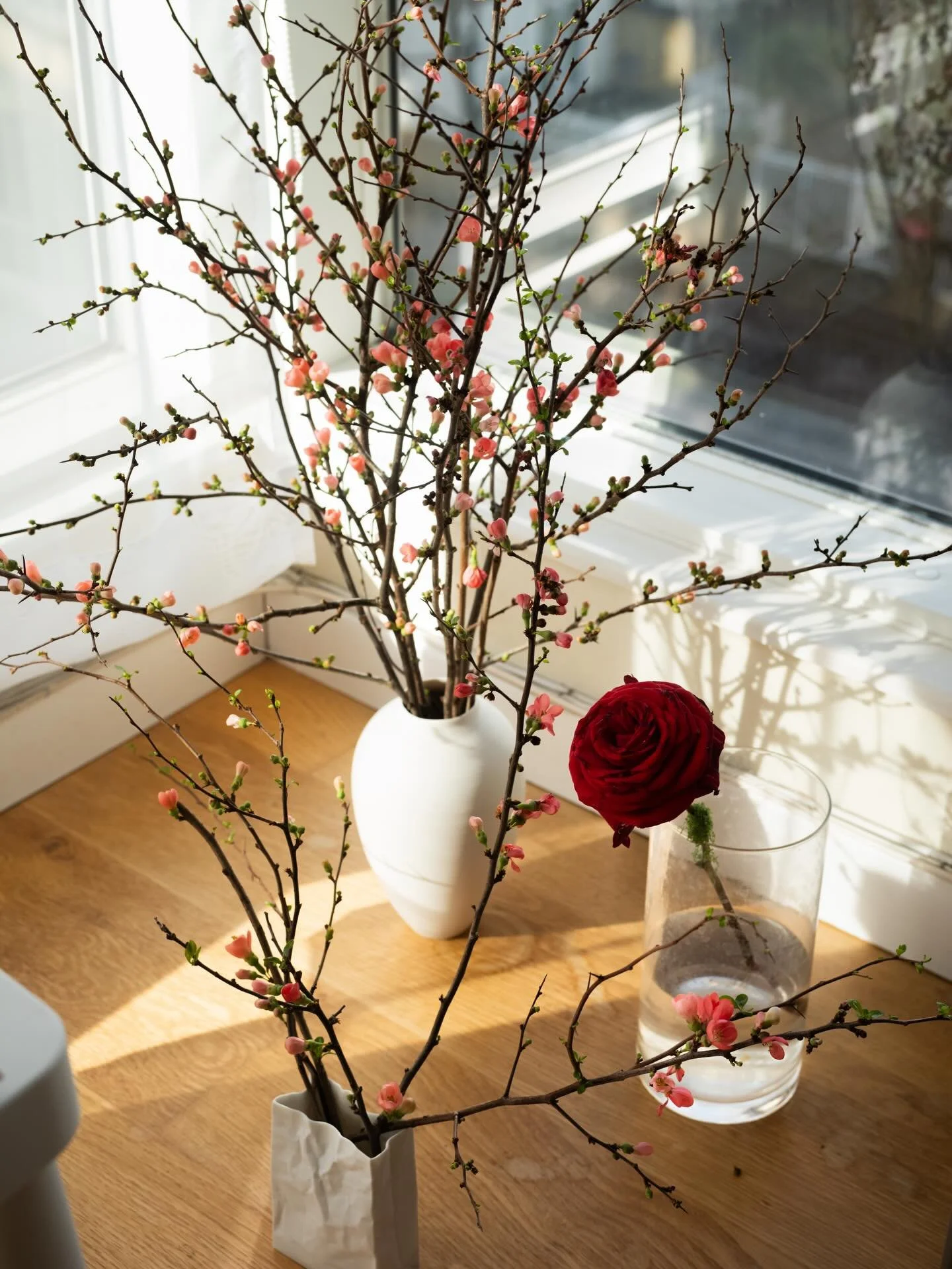 Floral Symbolism - In a season where cultures intertwine, so does floral symbolism. In the month of February where pink blossoms of renewal meet a single red rose of love, they often represents a quiet dialogue beneath rare winter light, bringing new
