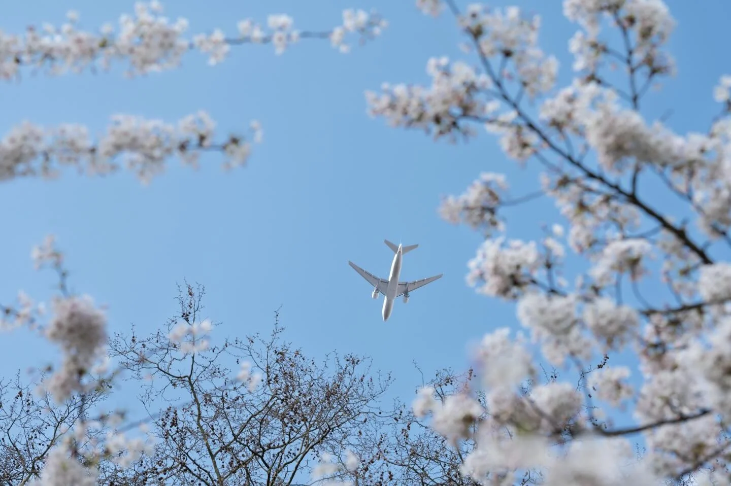 The Subtle Art of Framing: Not all frames are built. Some are discovered, in fleeting alignments, in quiet observations and everyday elements. From the intimacy of the everyday to the vastness of the world, each frame holds a perspective shaped by wh