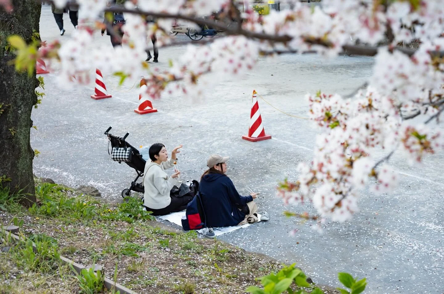 Slowing The Pace - When time just whizz past, one might not even realised it and it&rsquo;s a constant question around : where has time went ? As much as one looking forward to summer , April has always been a refreshing sight . One might take a quie