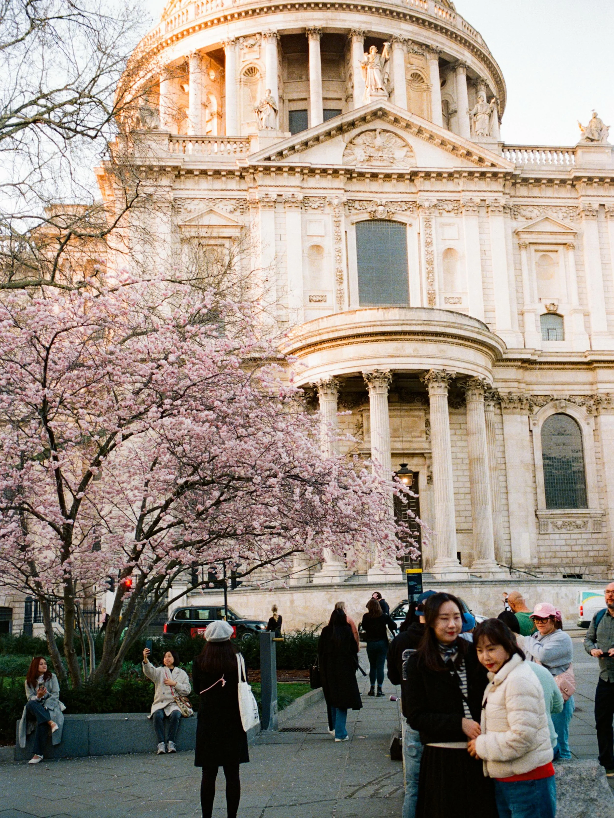 Pops of Spring - Spring in London rarely arrives announced. Yet when it does, it quietly brings colour back to the city. From the washed morning light to quiet corners in bloom, the little pops of colour creates one frame at a time, slowly shifting t
