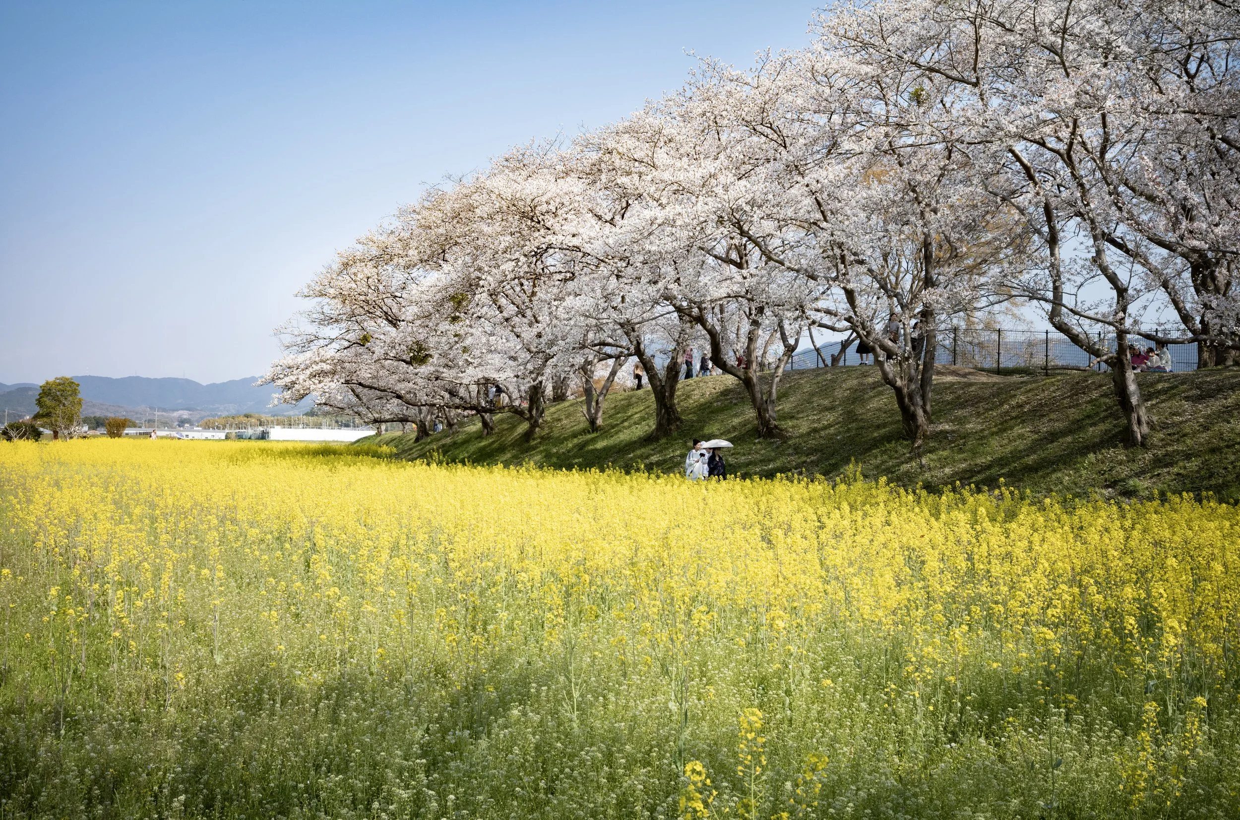 Nara, Japan