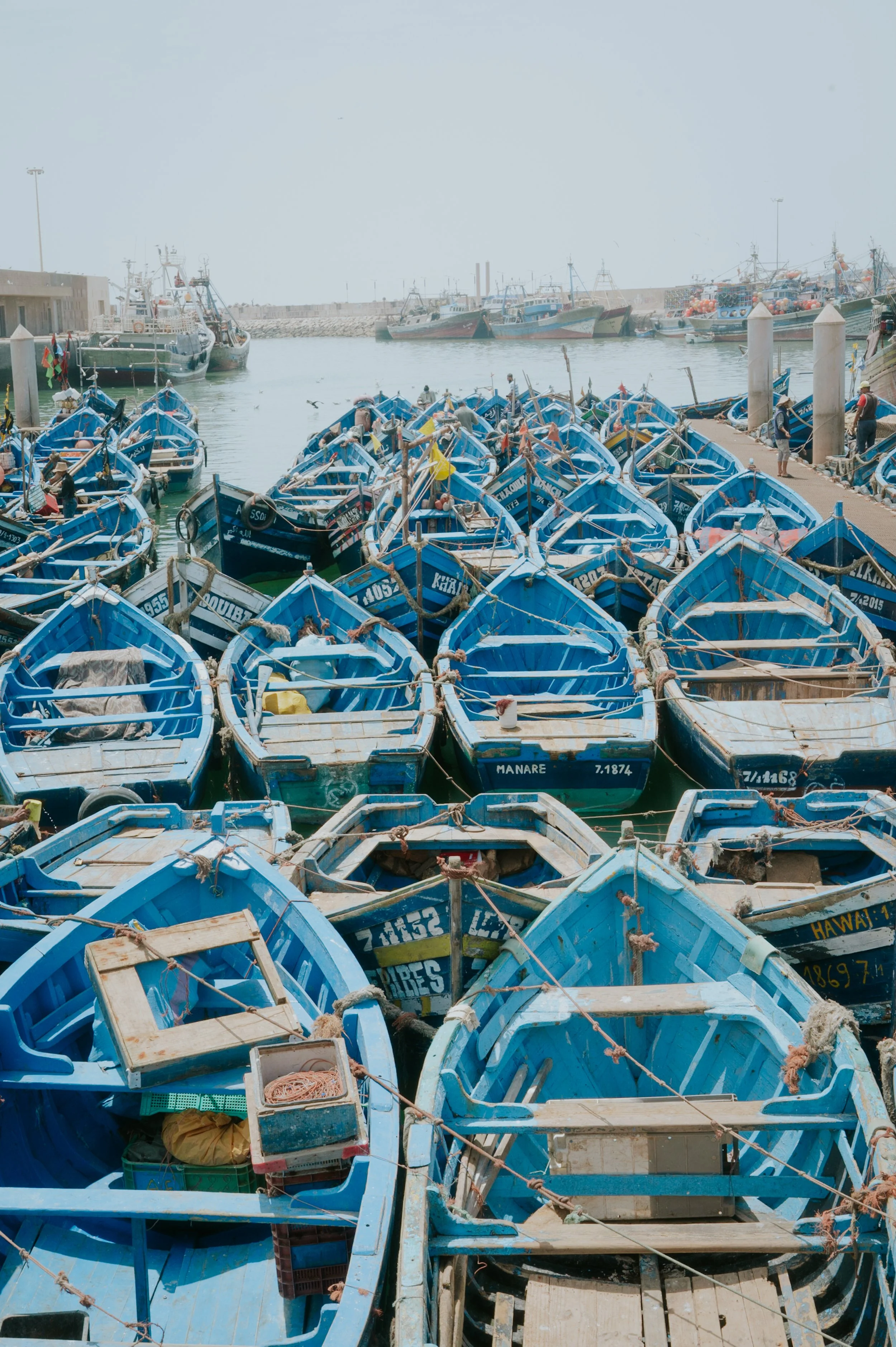 DSC_5486.jpeg