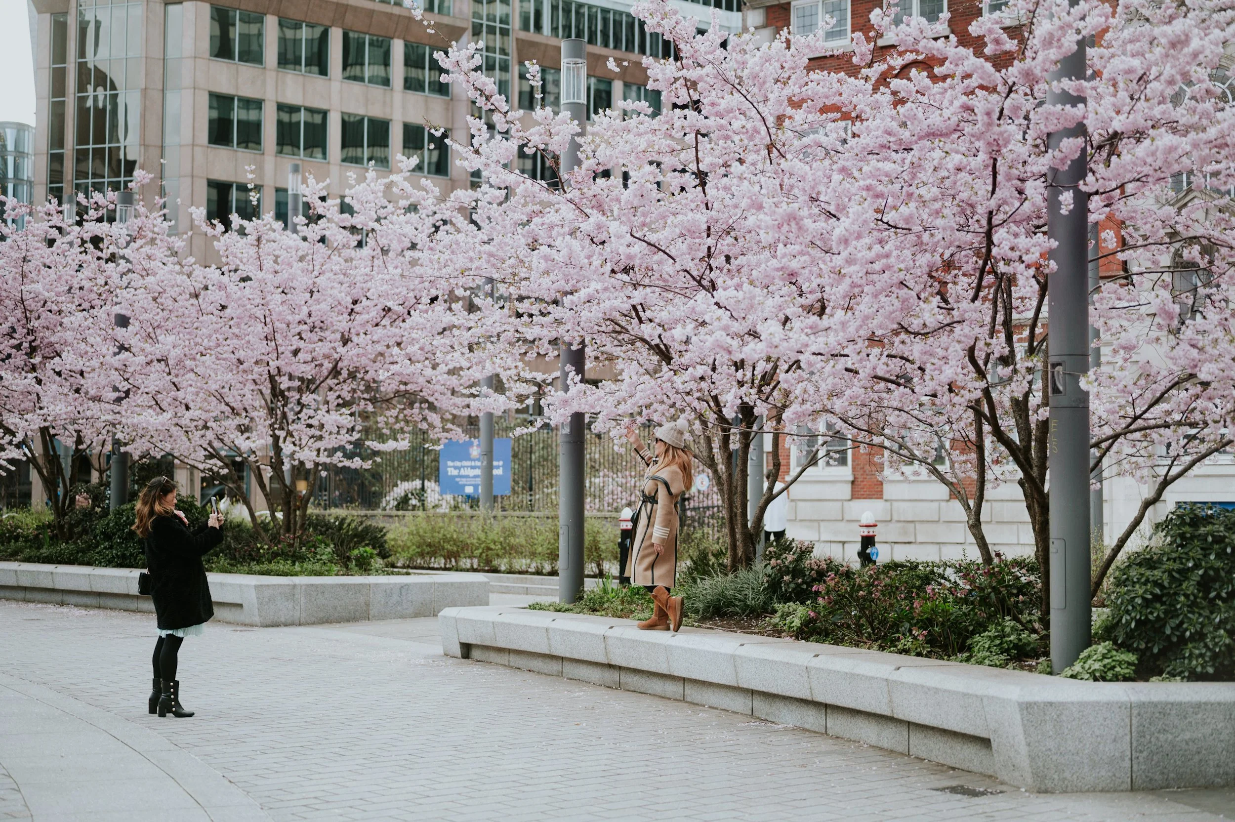 DSC_3850.jpeg