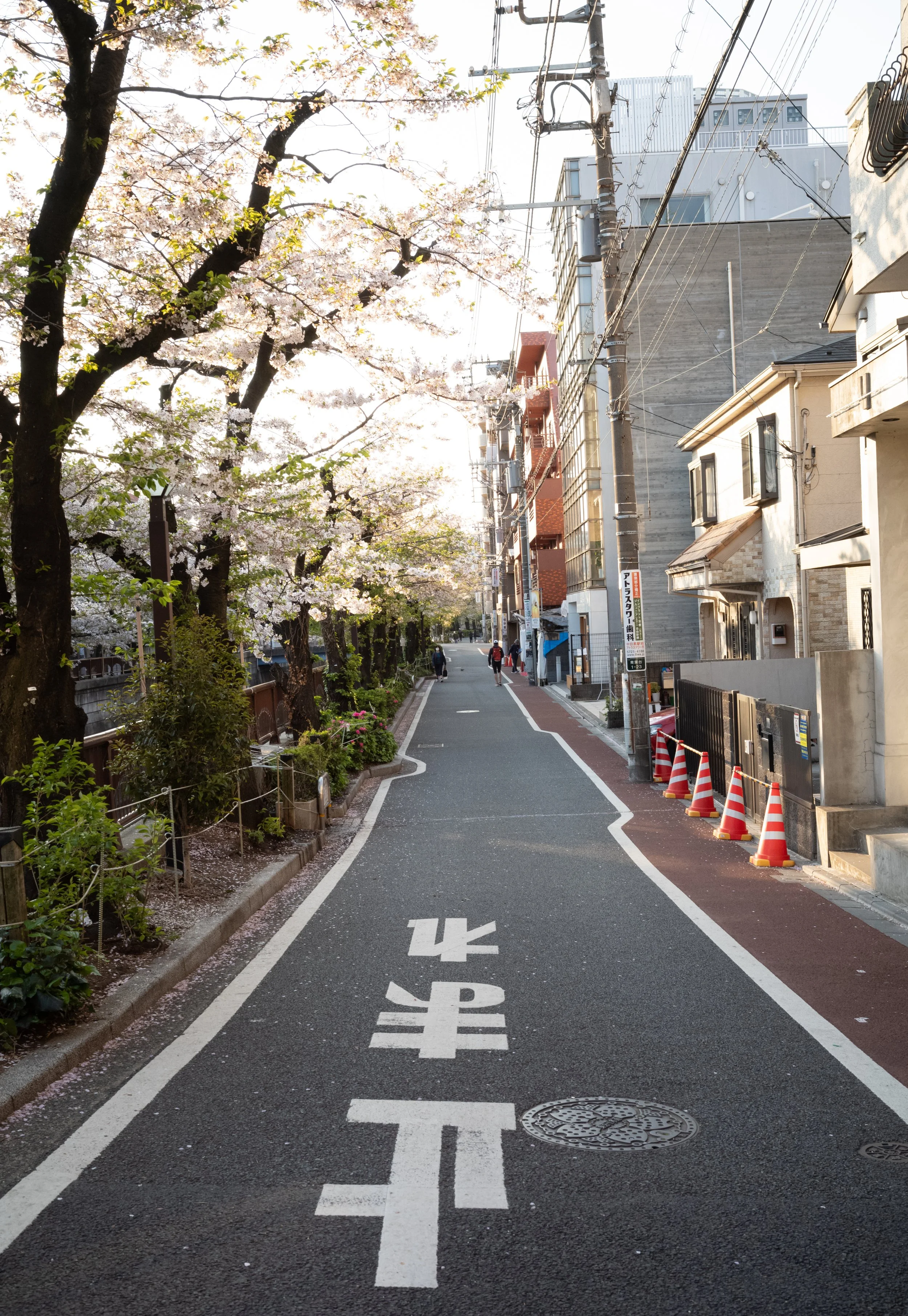 Tokyo, Japan