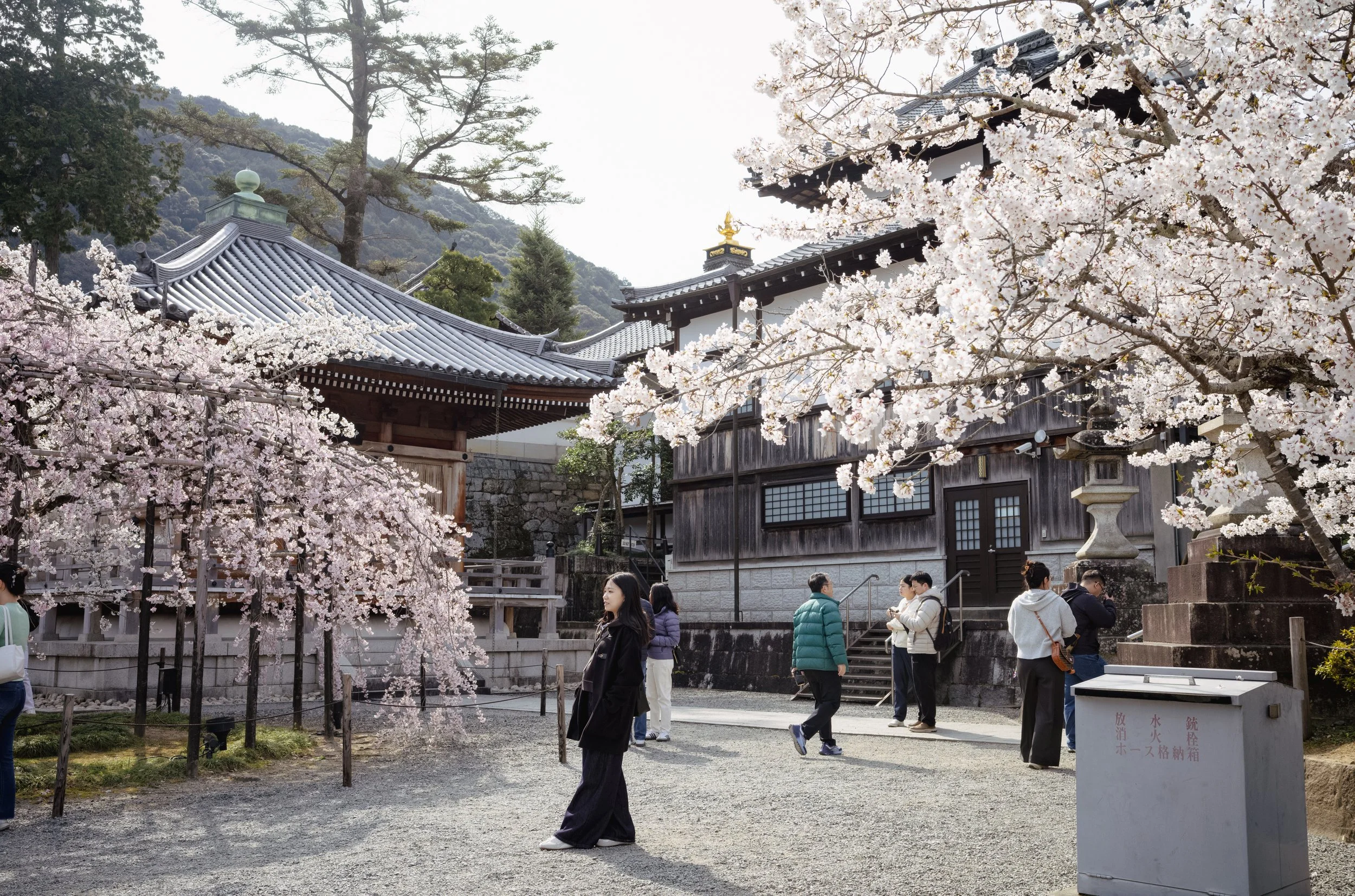 Kyoto, Japan