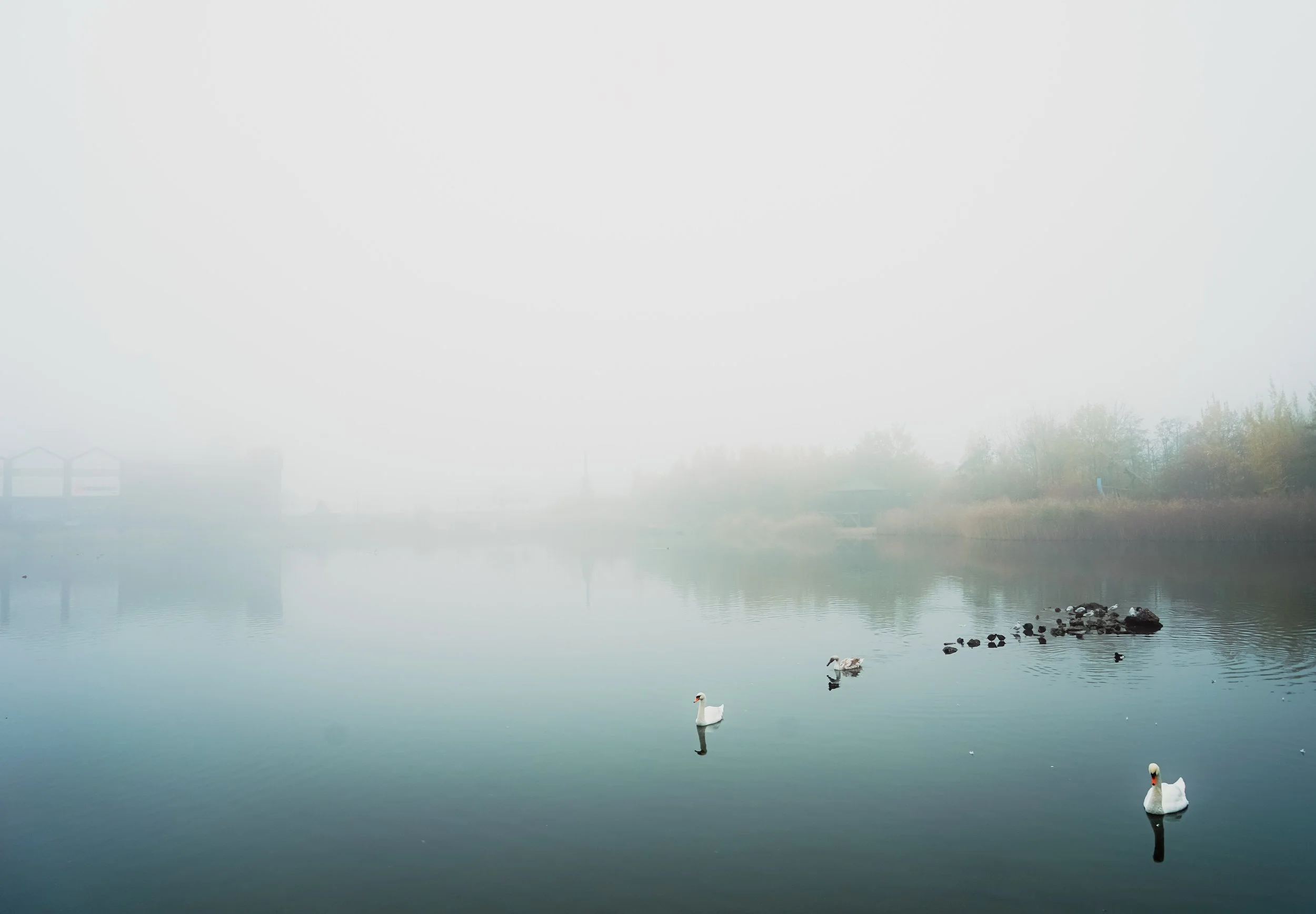 9D497F9C-DA57-4AB6-9A1D-CDE47D4F0578.jpeg