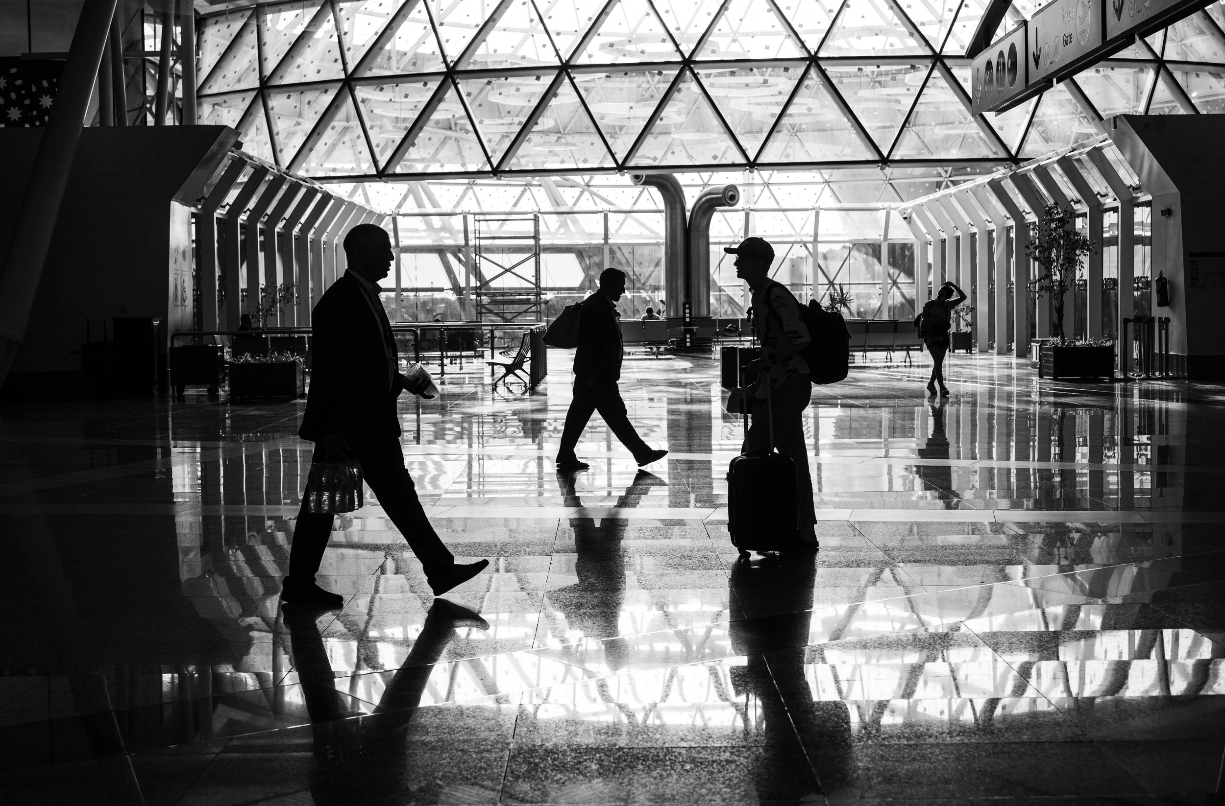 DSC_6637.jpeg