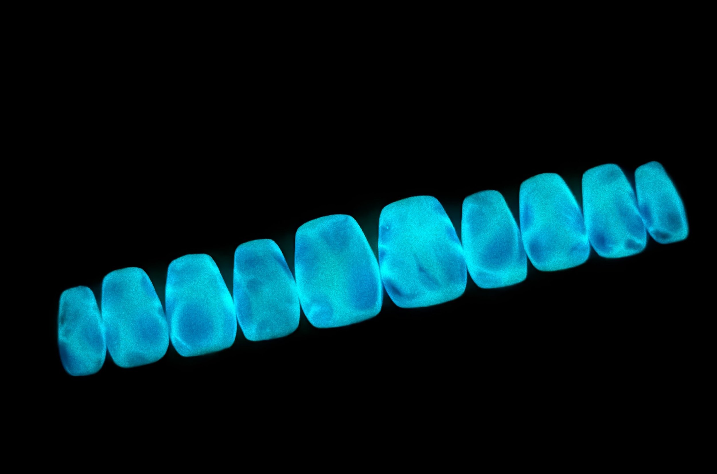 GITD water2.jpeg