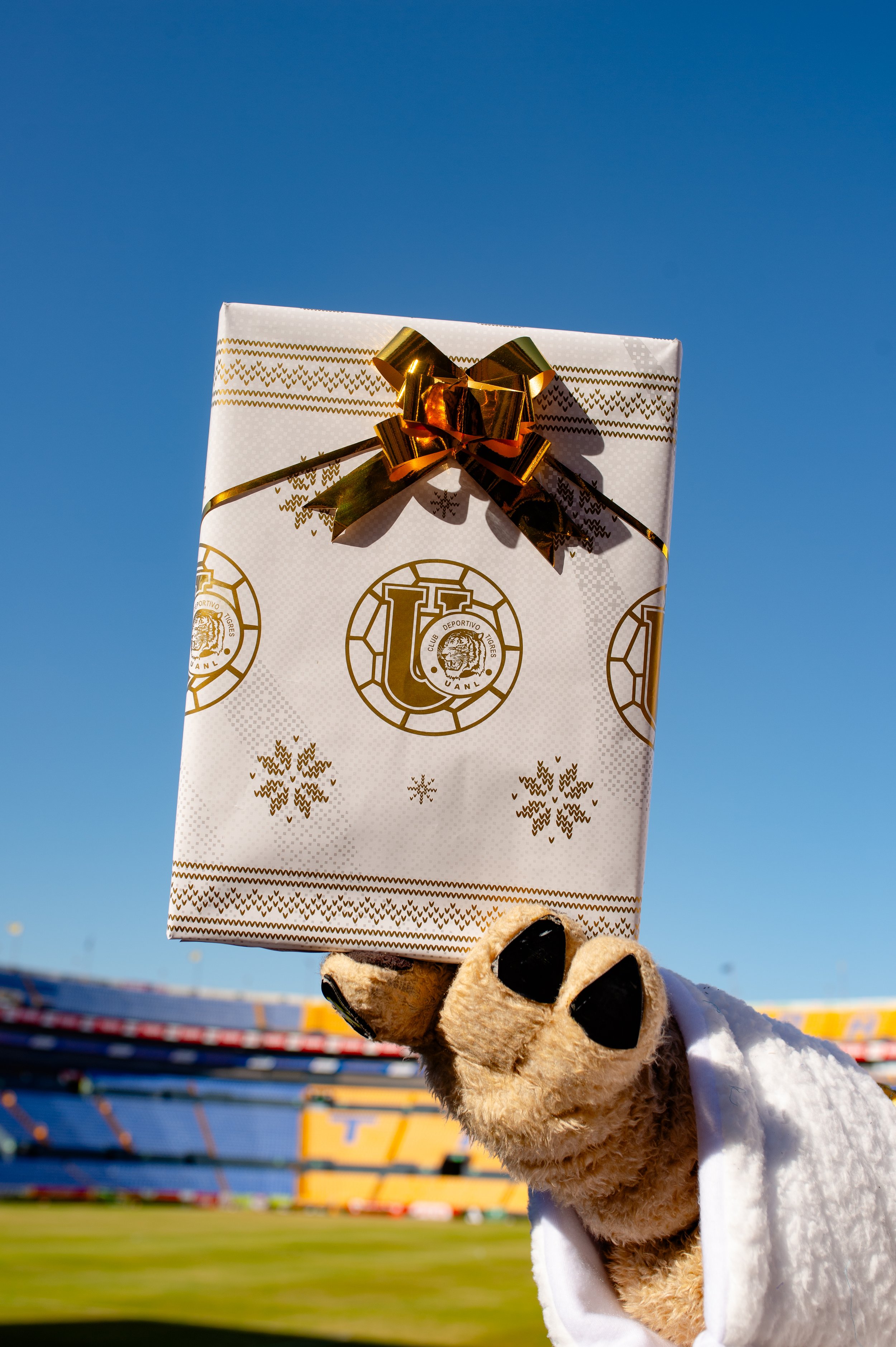 t navidad 2024-20.jpg