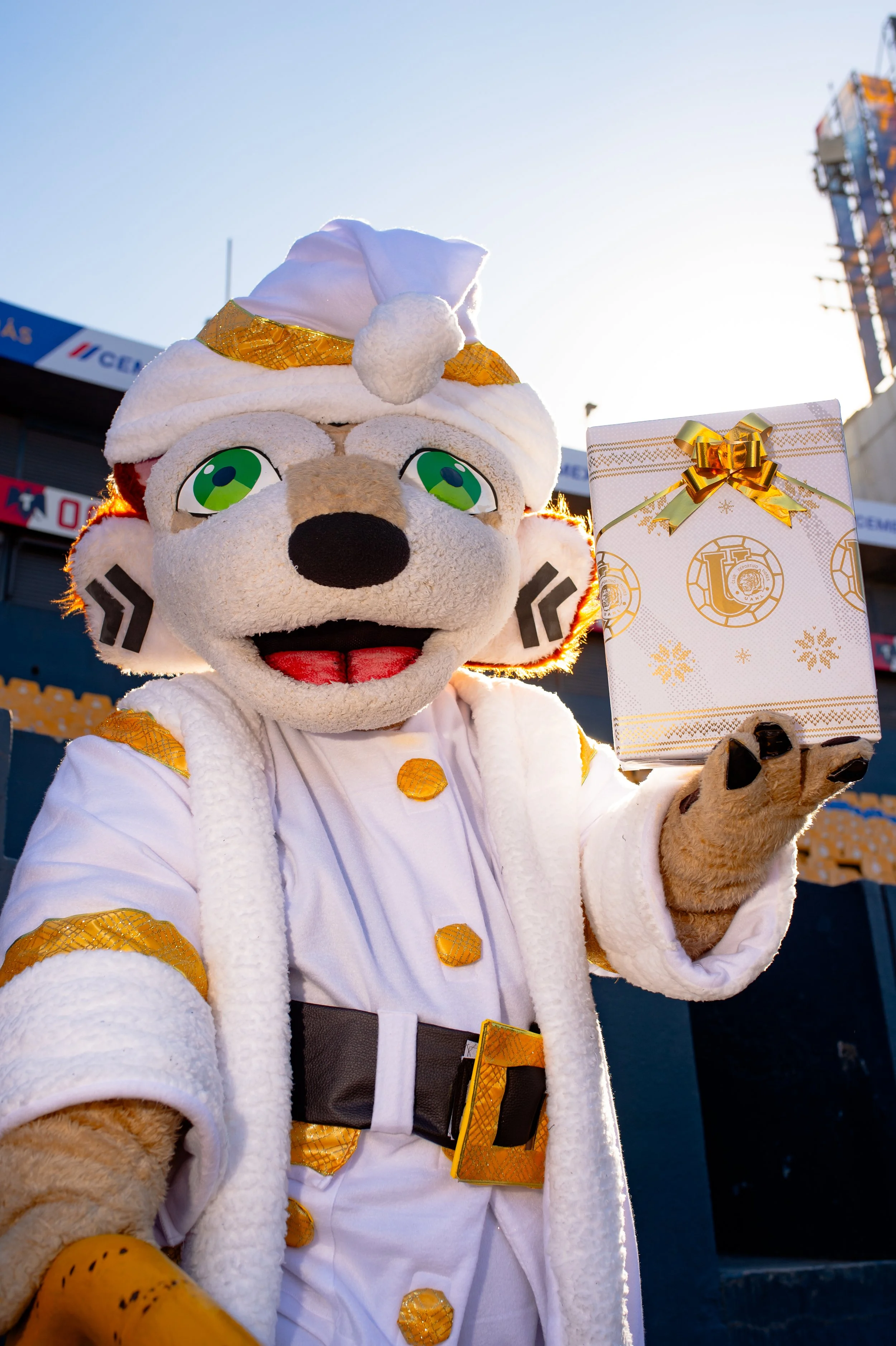 t navidad 2024-18.jpg