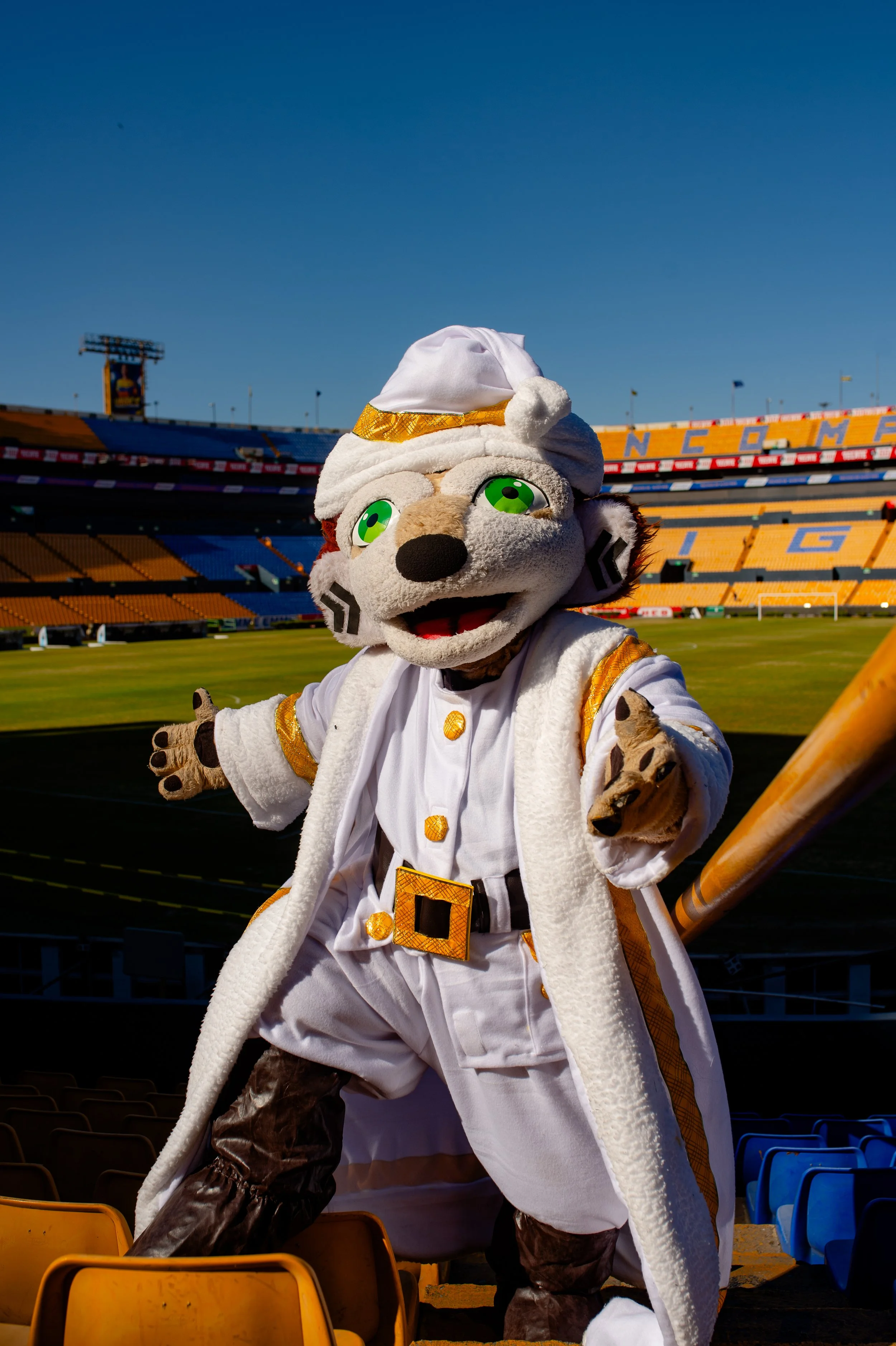 t navidad 2024-26.jpg