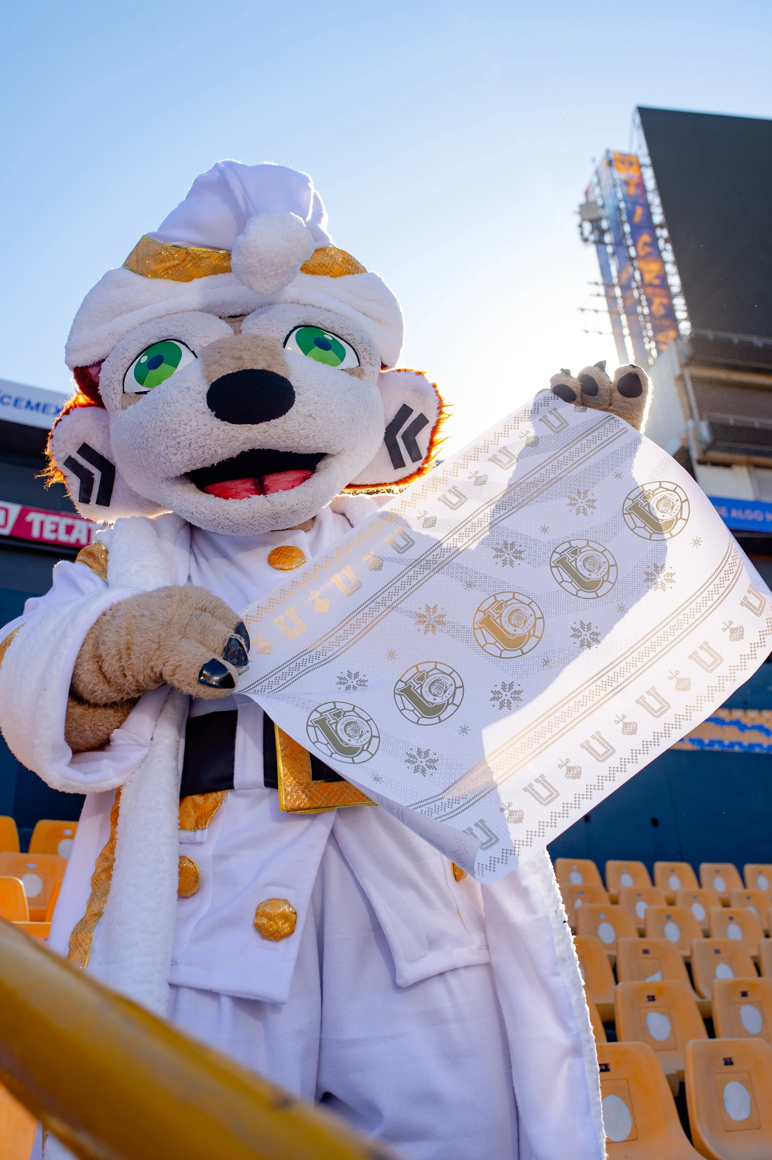 t navidad 2024-27.jpg