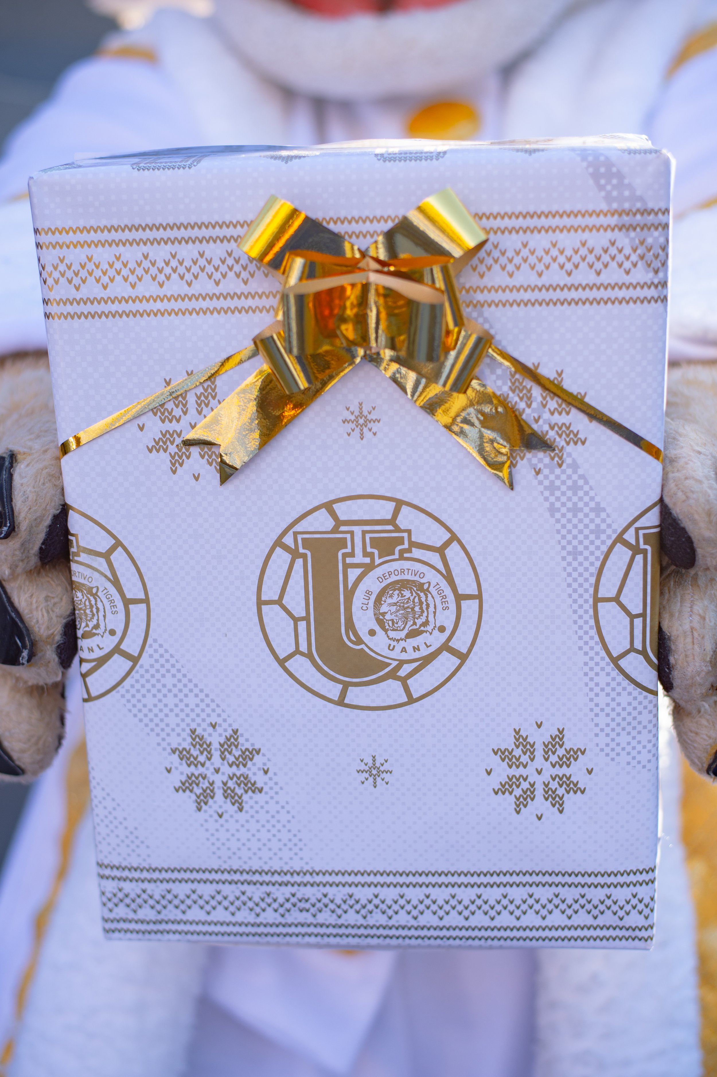 t navidad 2024-10.jpg