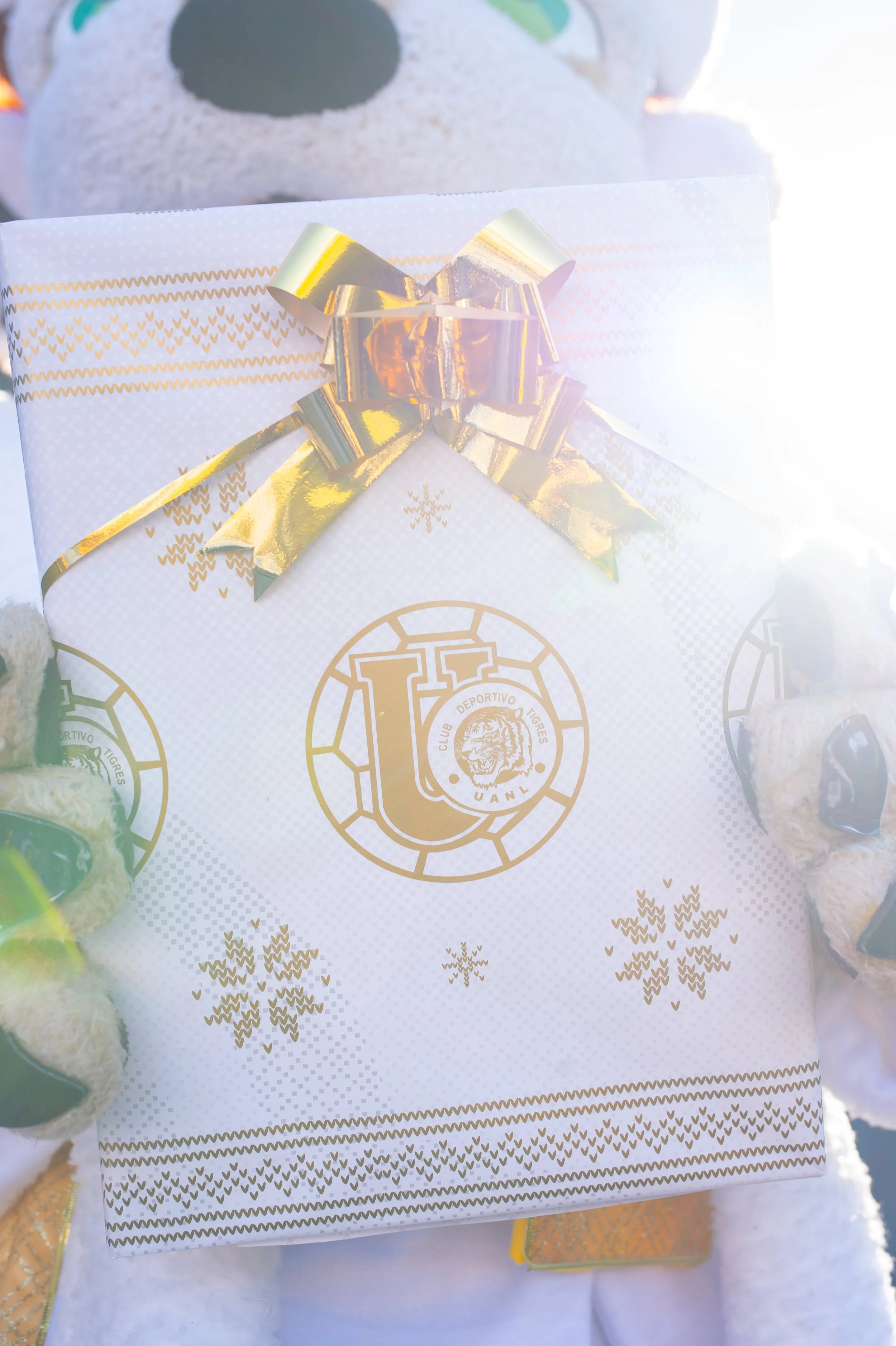 t navidad 2024-12.jpg